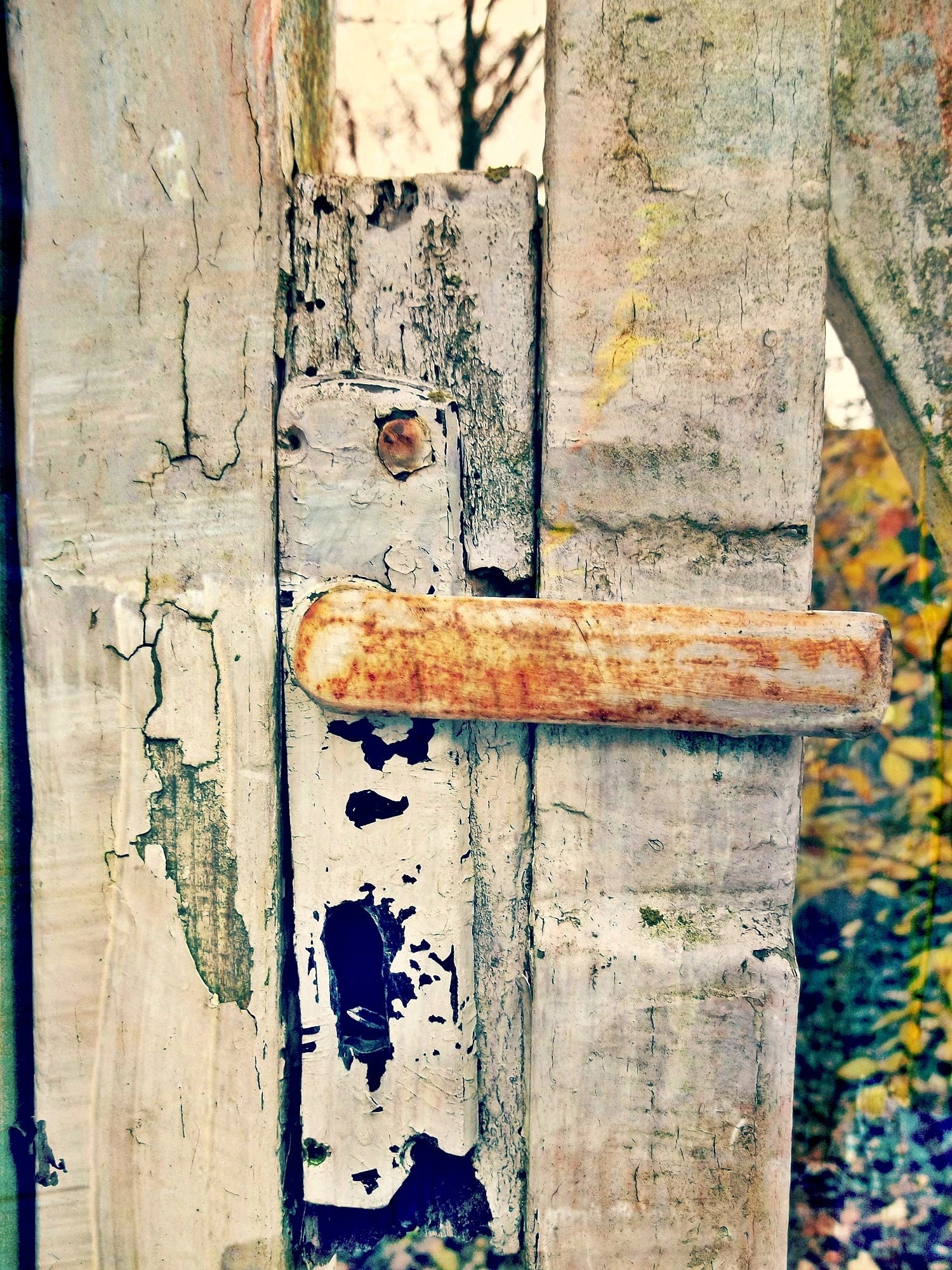 castle, photo, no people, lock, old, rusty, damaged, plank, outdoors, wood - material, protection, textured, weathered, door knob, deterioration, input, Phone HD Wallpaper