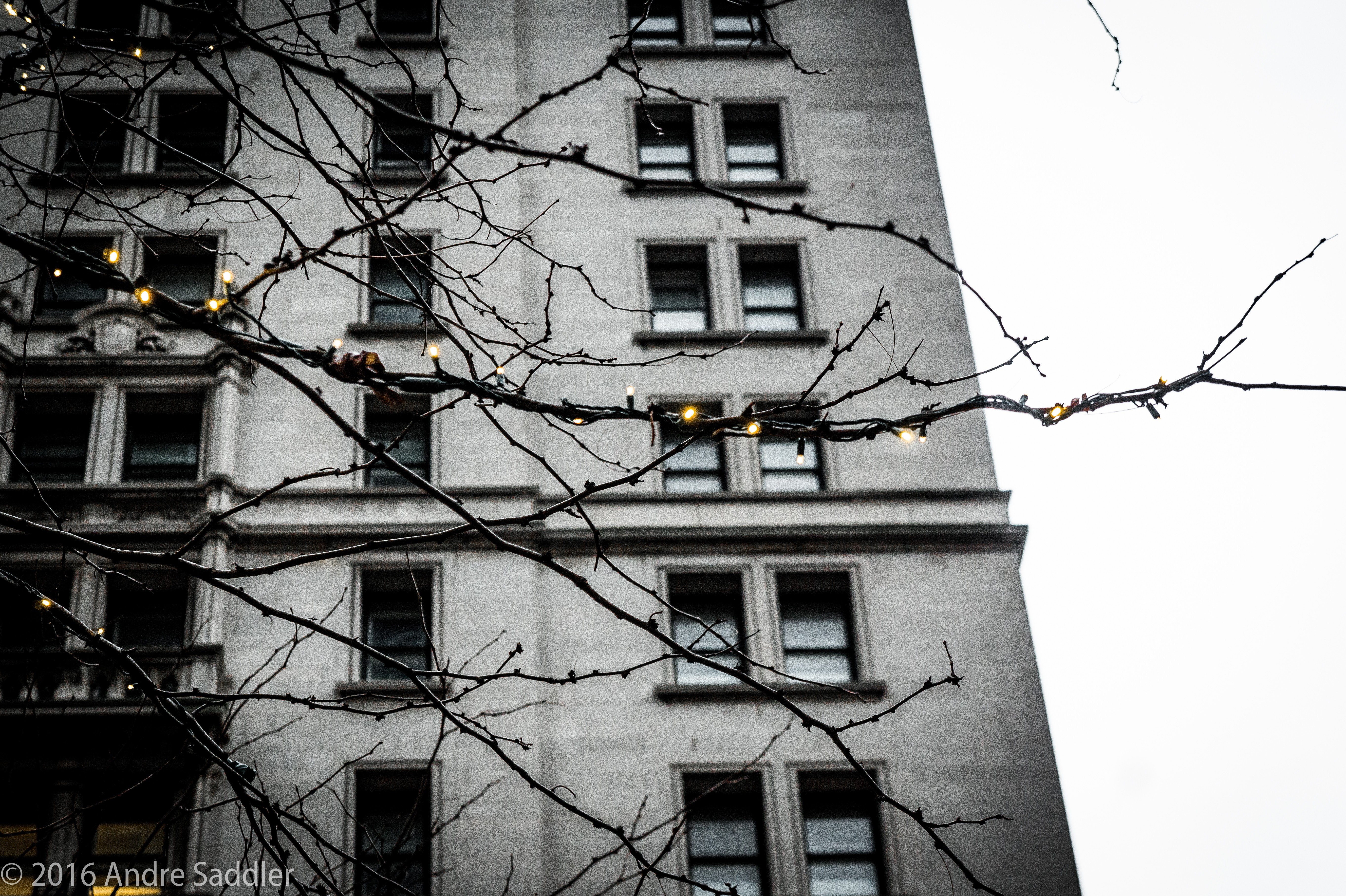 no people, building exterior, built structure, nature, city, sky, residential district, architecture, power supply, low angle view, cable, 5K, complexity, HD Wallpaper