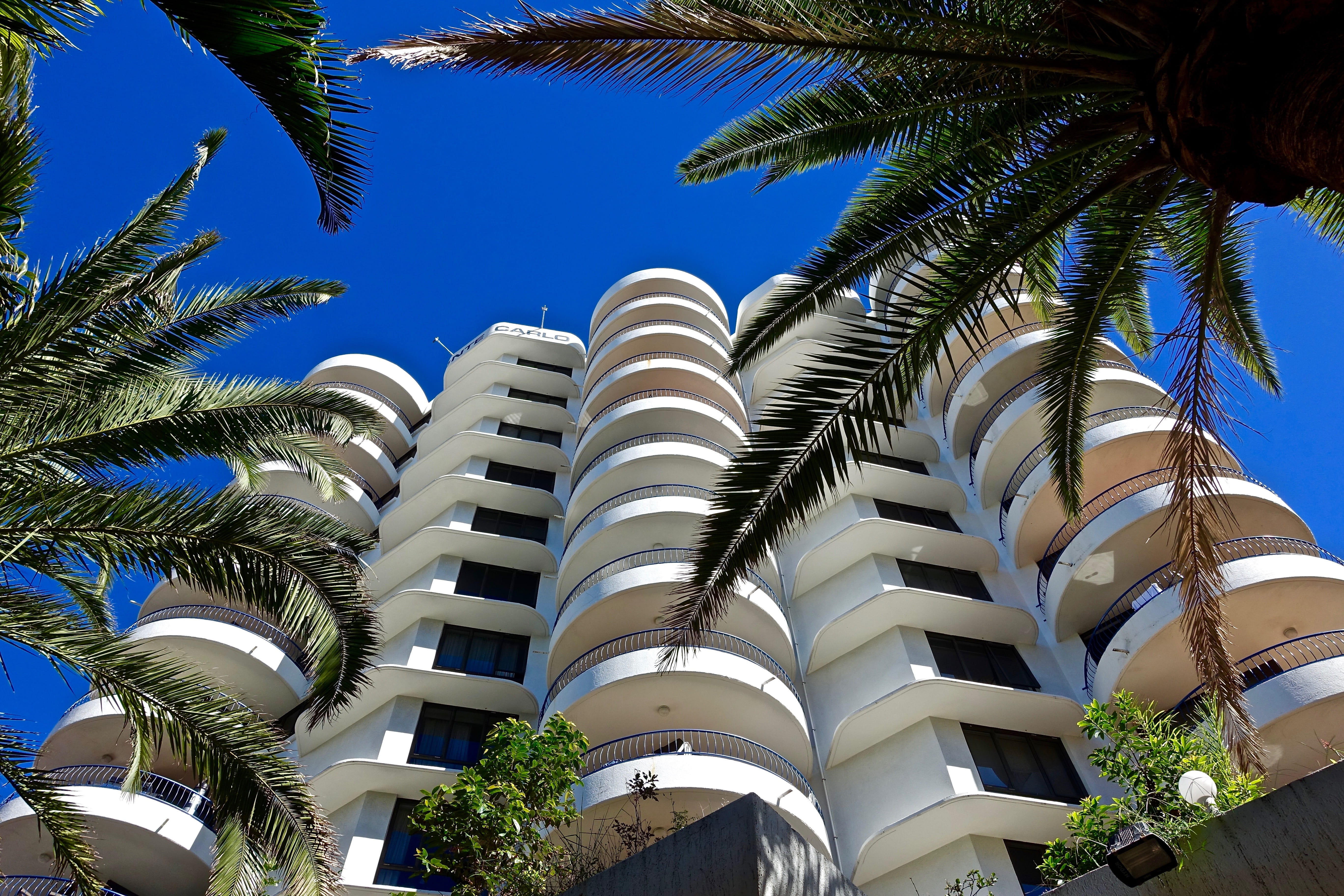 tropical tree, high-rise, coconut palm tree, tropical climate, outdoors, clear sky, apartment, city, sky, building, day, blue, skyscraper, office building exterior, HD Wallpaper