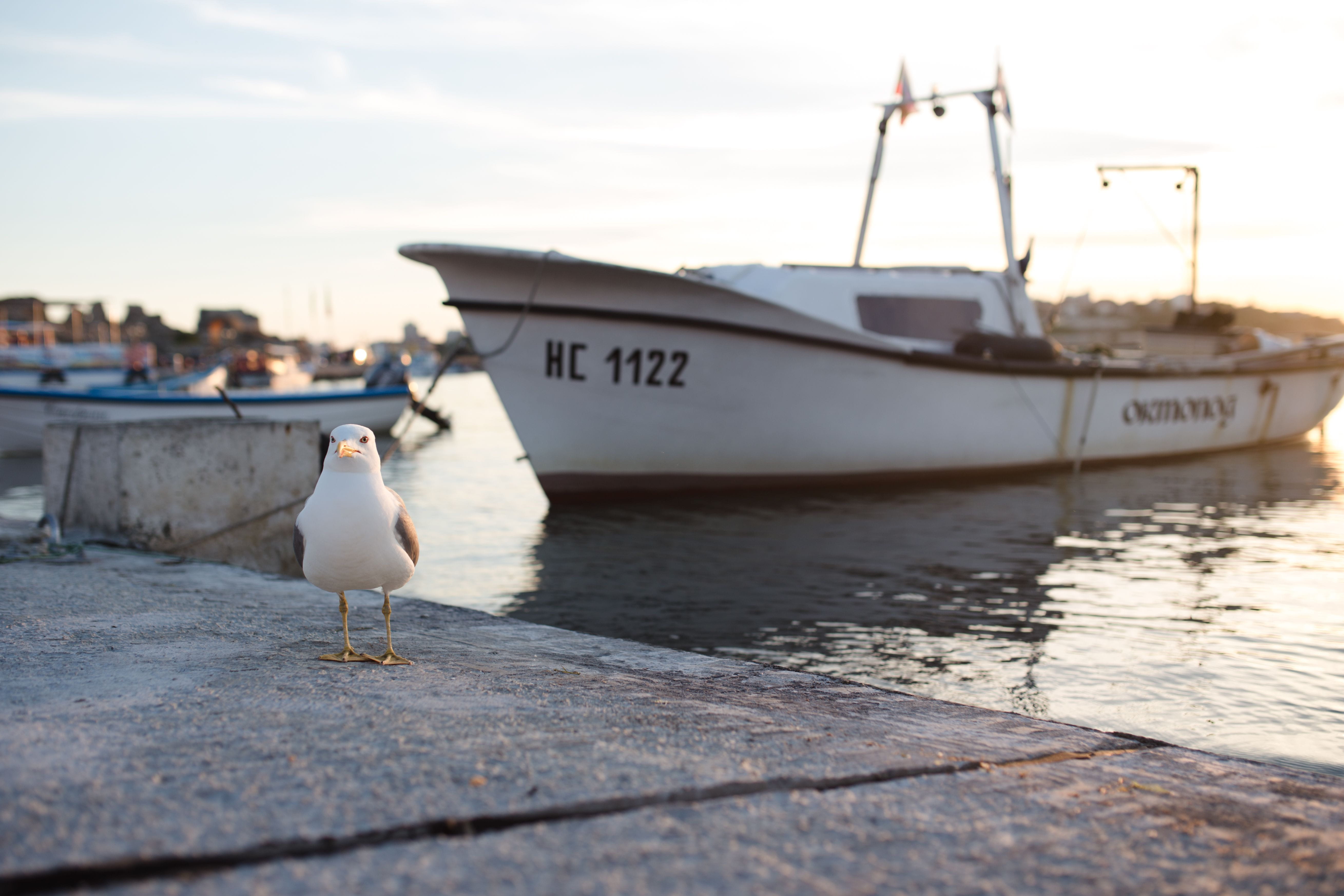 focus on foreground, water, nature, no person, ship, sky, bulgaria, mode of transportation, nautical vessel, outdoors, 5K, no people, day, boat, port, HD Wallpaper
