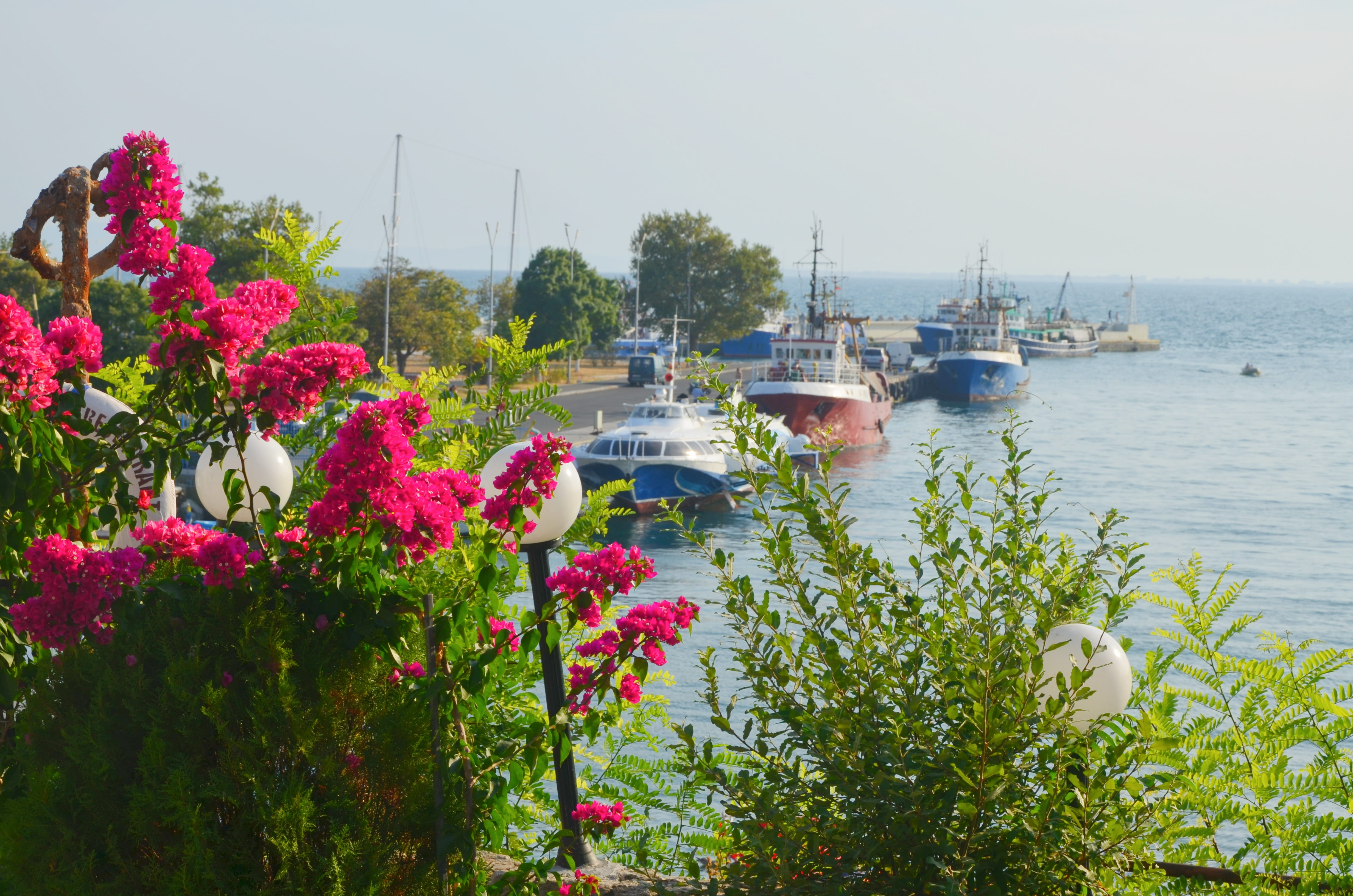 no people, bulgaria, nautical vessel, vulnerability, mode of transportation, tree, beauty in nature, sailboat, flowers, plant, ships, nature, growth, transportation, HD Wallpaper