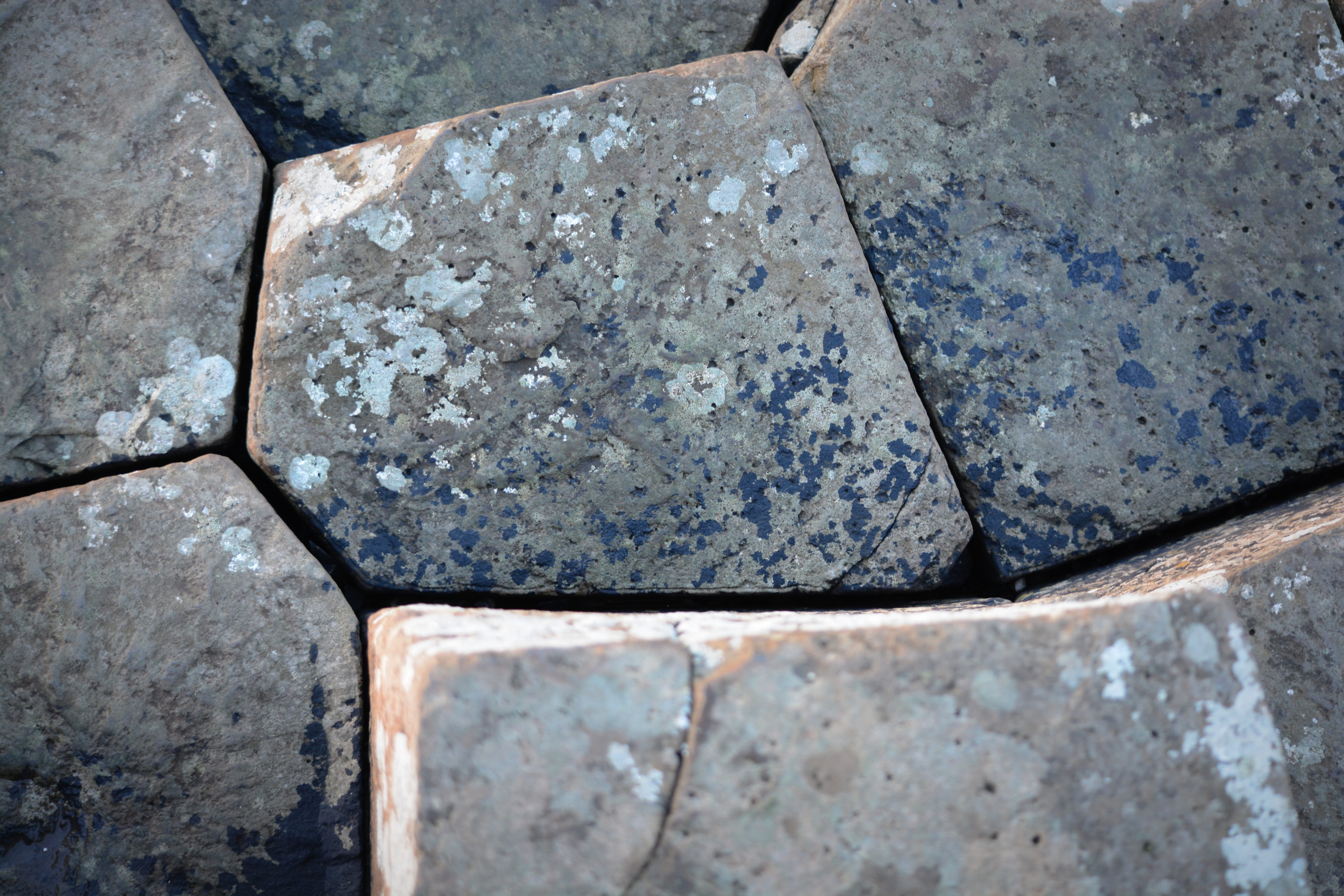 stone material, stone - object, old, tile, sea, giants causeway, outdoors, nature, no people, close-up, 5K, northern ireland, gray, pattern, unseco, rocks, HD Wallpaper