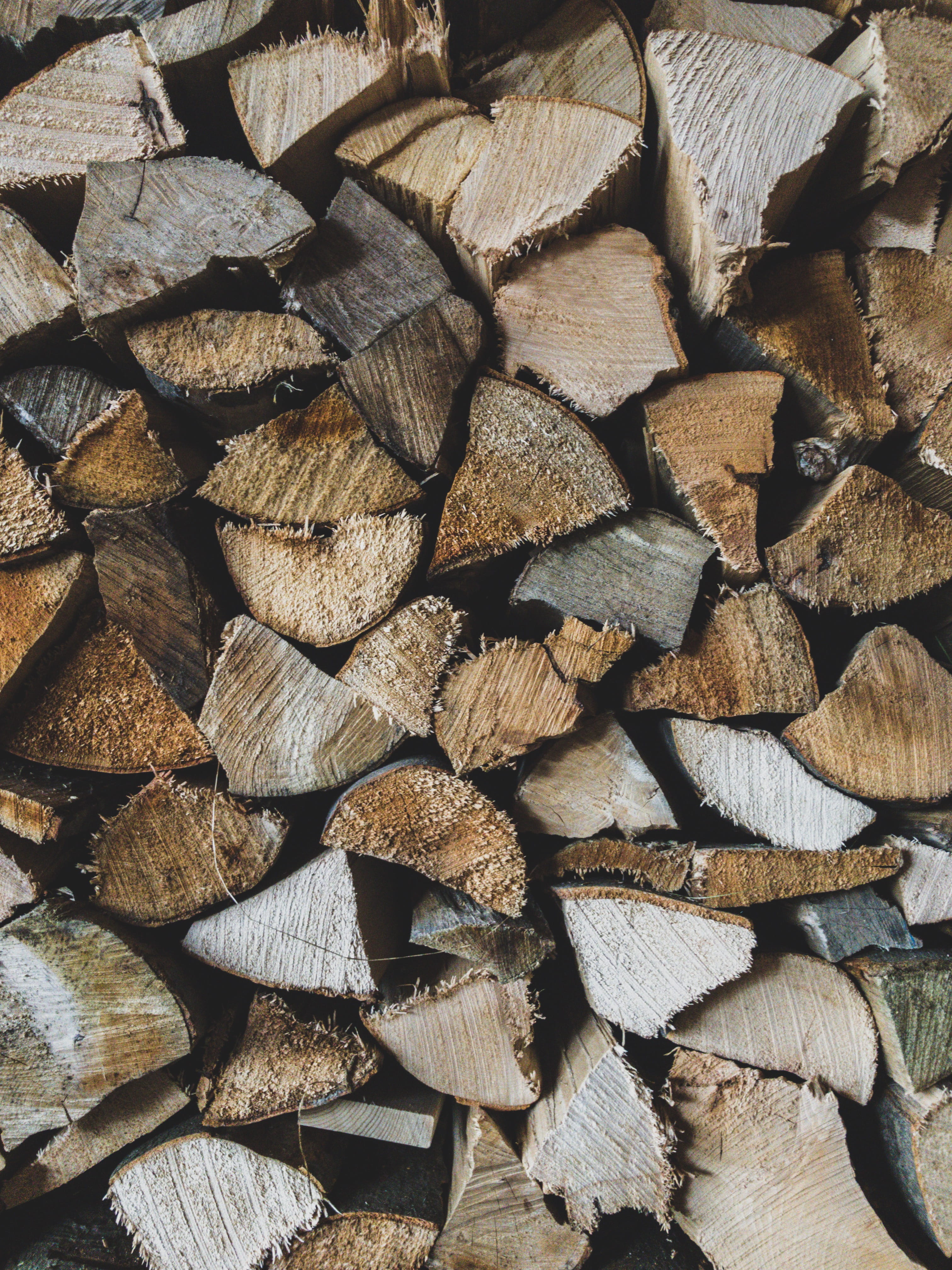 tugboat, lumber, sliced, rug, lumber industry, pattern, woodpile, forest, tree, firewood, deforestation, wood, tree stump, stack, fungus, timber, boat, Phone HD Wallpaper