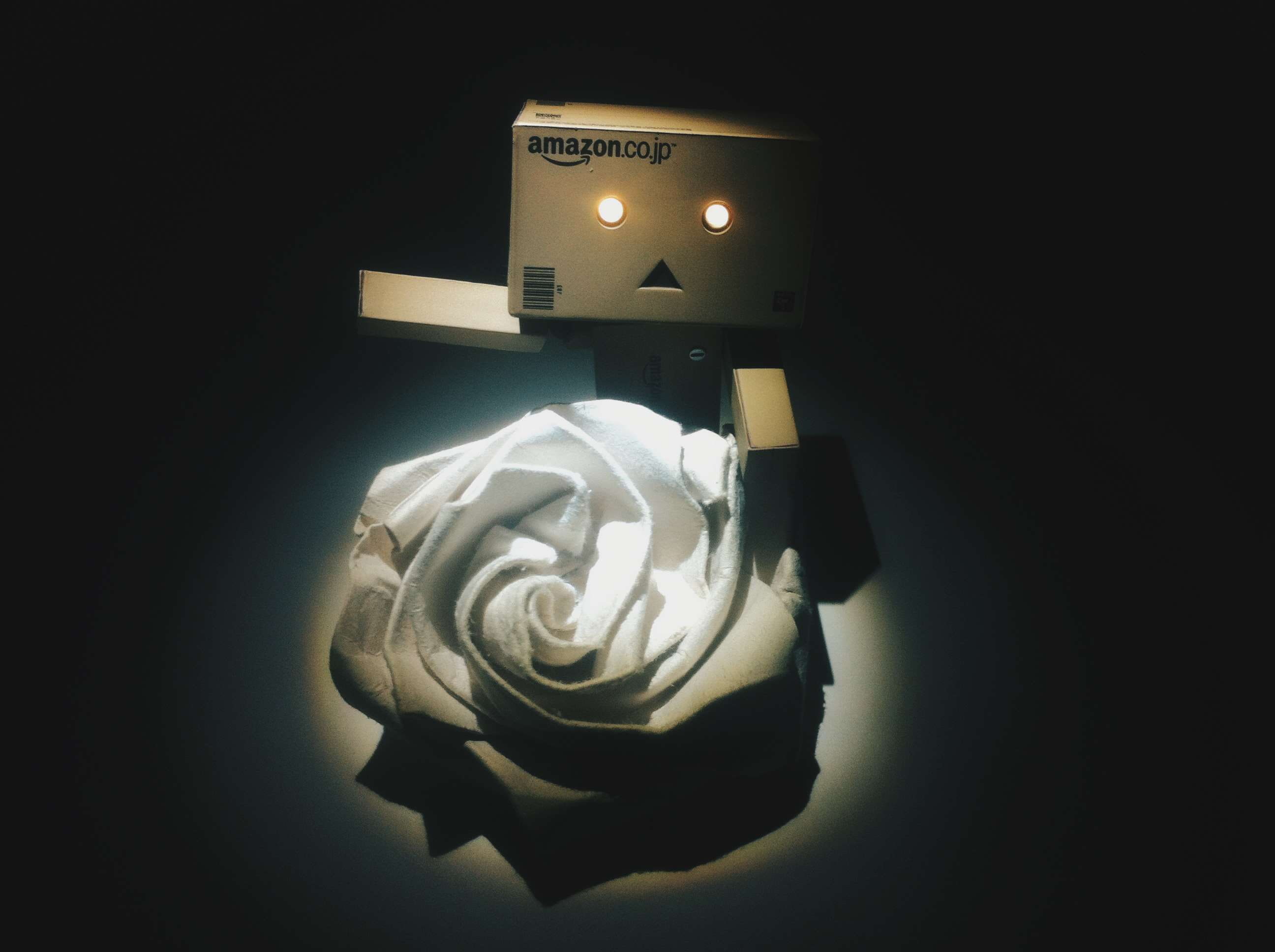 indoors, revoltech, pandariusz, mobilephotography, metal, nature, technology, lighting equipment, japangirl, danboard, dark, no people, black background, HD Wallpaper