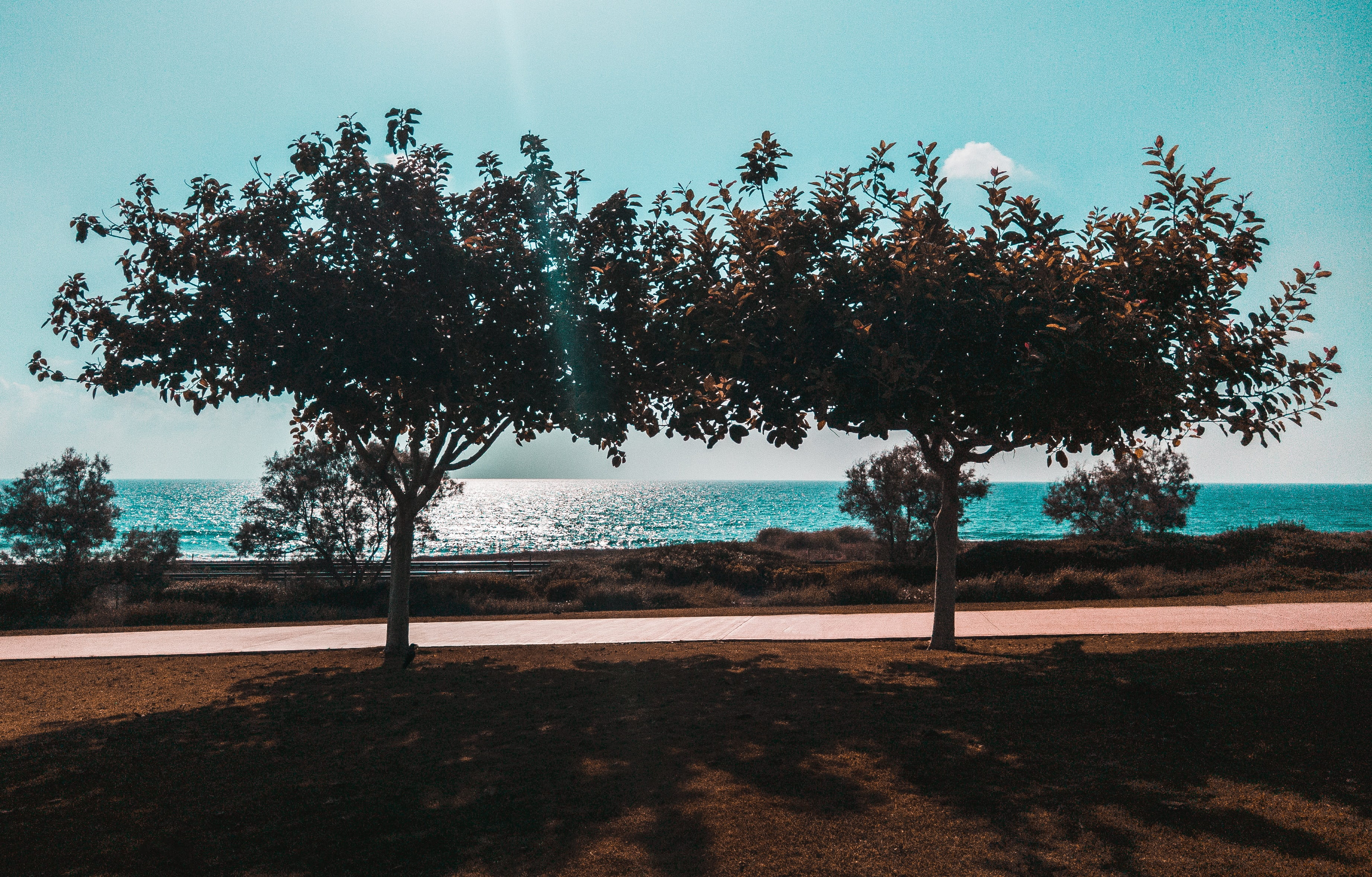 shotonmobile, sunlight, scenics - nature, buty, twice, no people, horizon over water, plant, 2K, sky, outdoor, water, growth, nature, sea, tranquility, HD Wallpaper