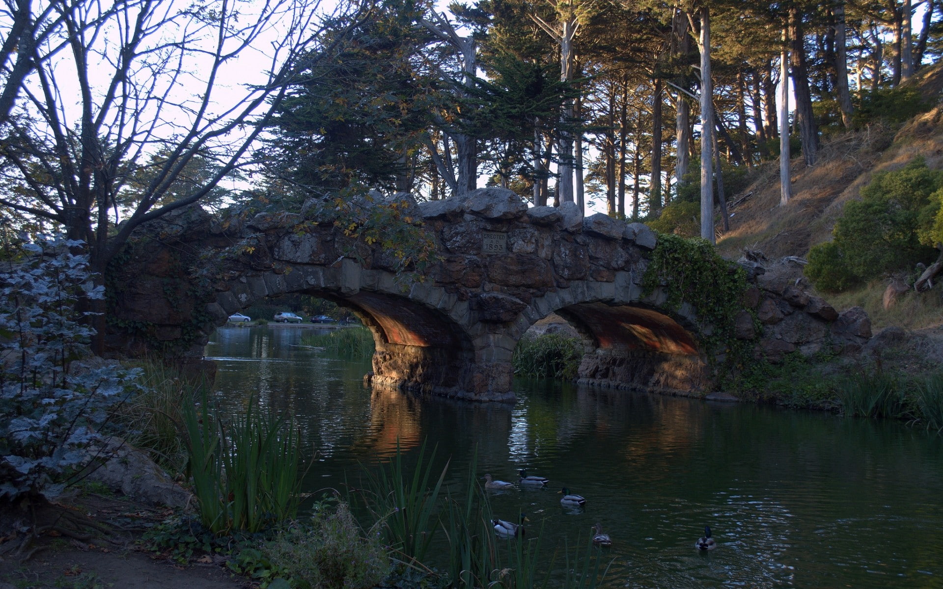 tranquility, architecture, land, beauty in nature, arched, water, arch, river, no people, built structure, San Francisco, plant, bridge, nature, bridge - man made structure, HD Wallpaper