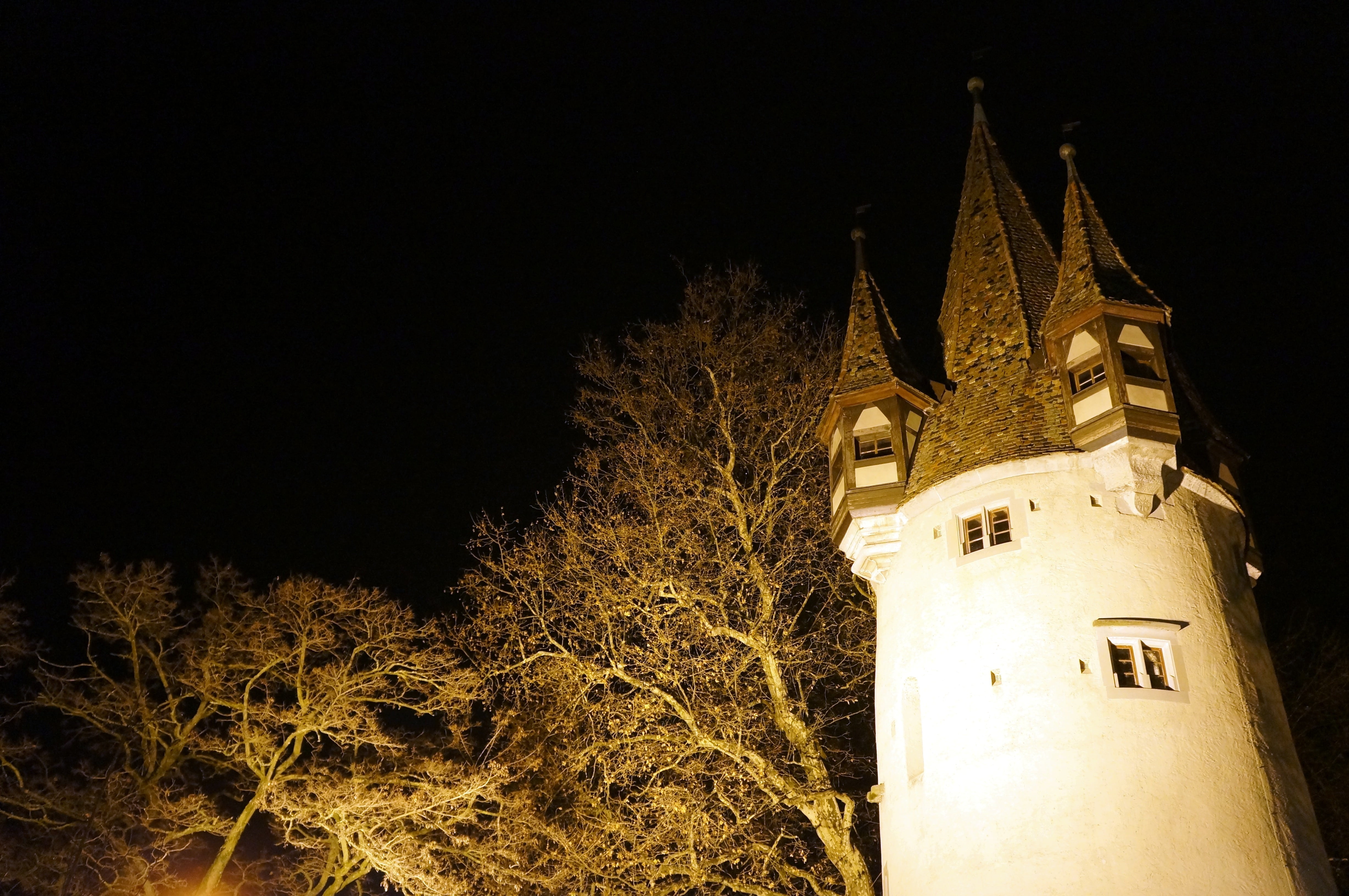 sky, religion, no people, tree, belief, illuminated, built structure, winter, outdoors, building, plant, yellow, building exterior, nature, tower, spire, HD Wallpaper