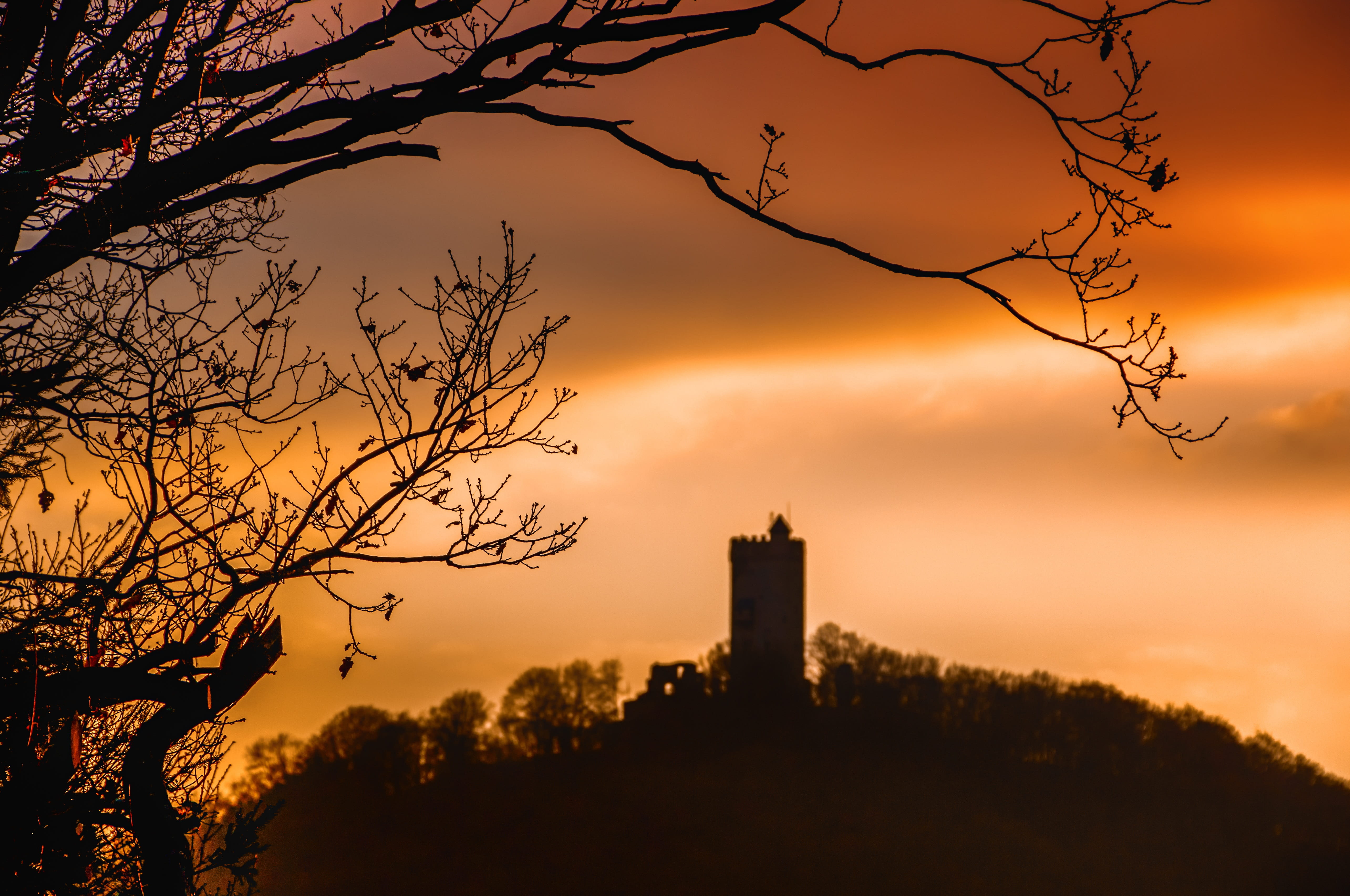 sunset, no people, middle ages, landmark, brown, bare tree, travel destinations, historically, built structure, afterglow, mystical, atmosphere, castle, HD Wallpaper