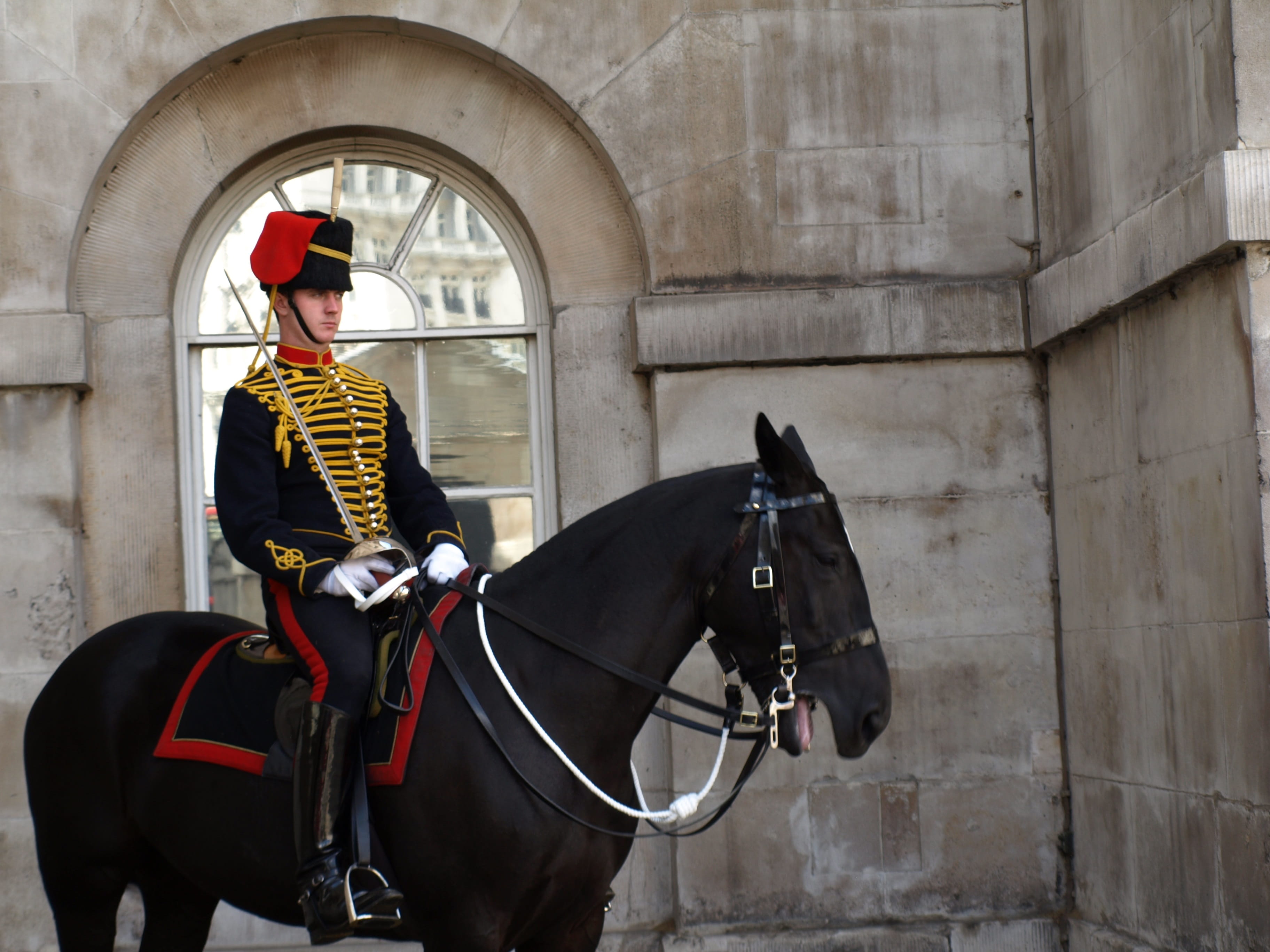 Guard, outdoors, London, domestic animals, riding, horseback riding, military, one animal, domestic, mammal, animal wildlife, men, real people, herbivorous, HD Wallpaper
