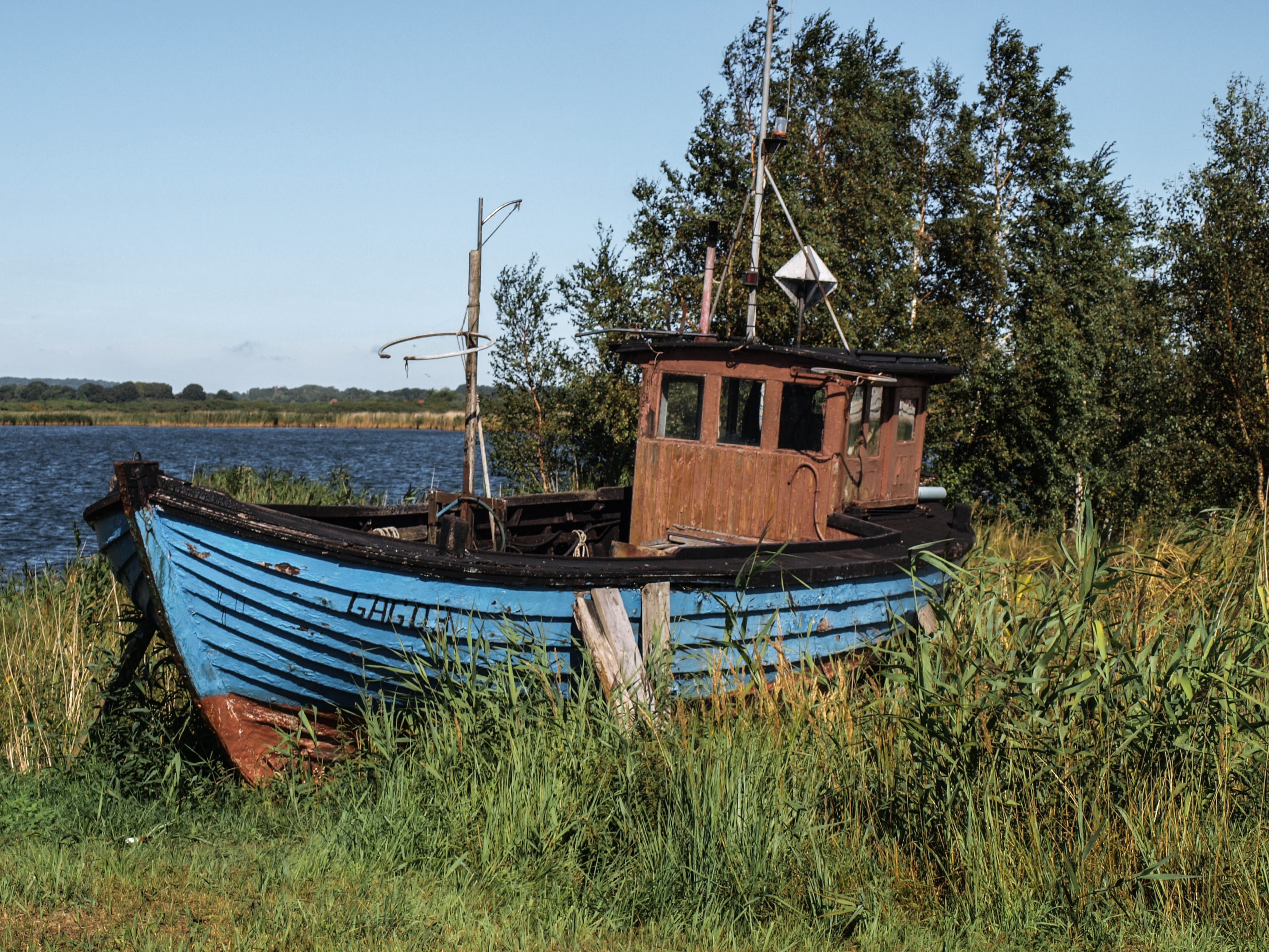 damaged, abandoned, obsolete, mode of transportation, nautical vessel, growth, grass, day, transportation, reed, sky, land, wood - material, ship, outdoors, HD Wallpaper