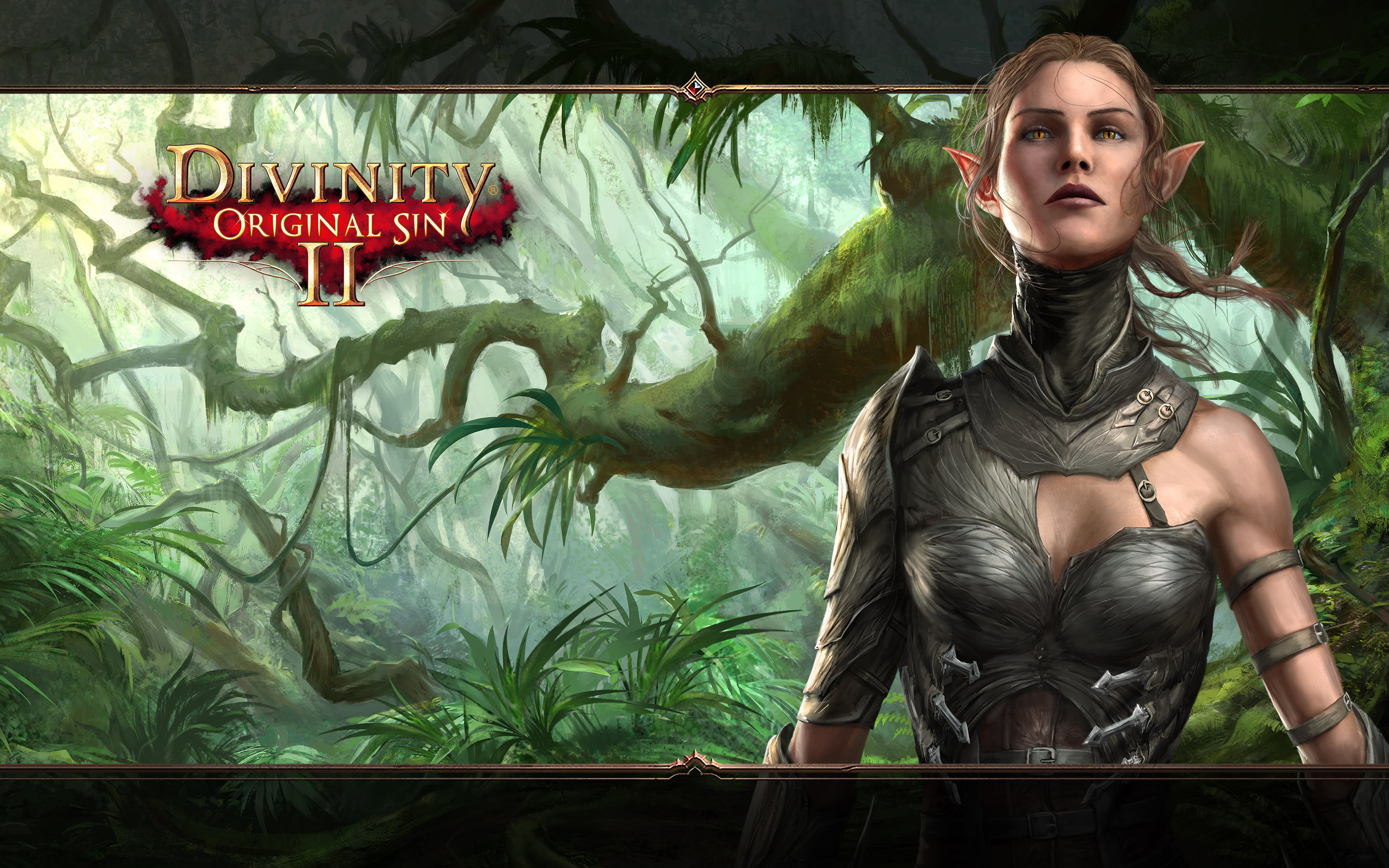Divinity: Original Sin II, Video Game, 4K, HD Wallpaper