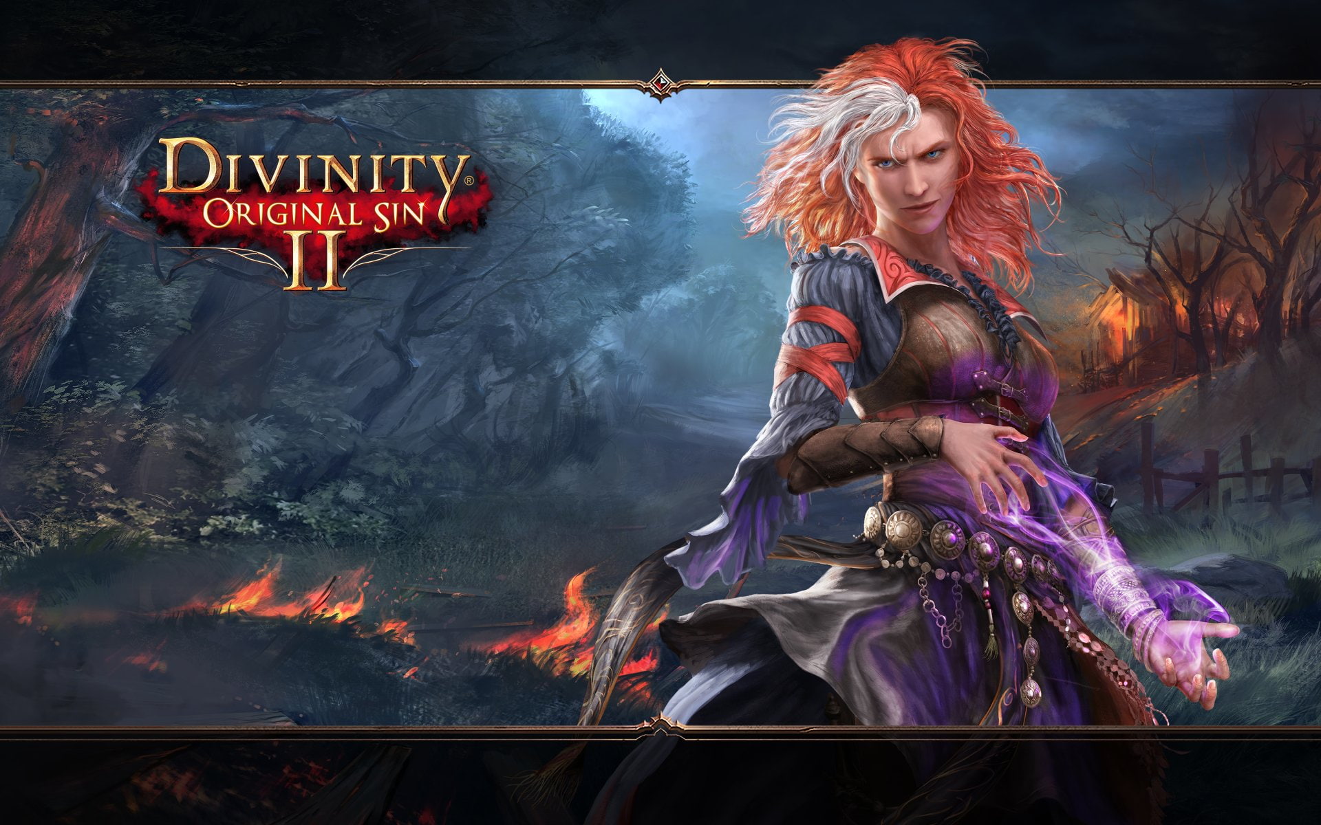 Video Game, 1080P, Divinity: Original Sin II, HD Wallpaper