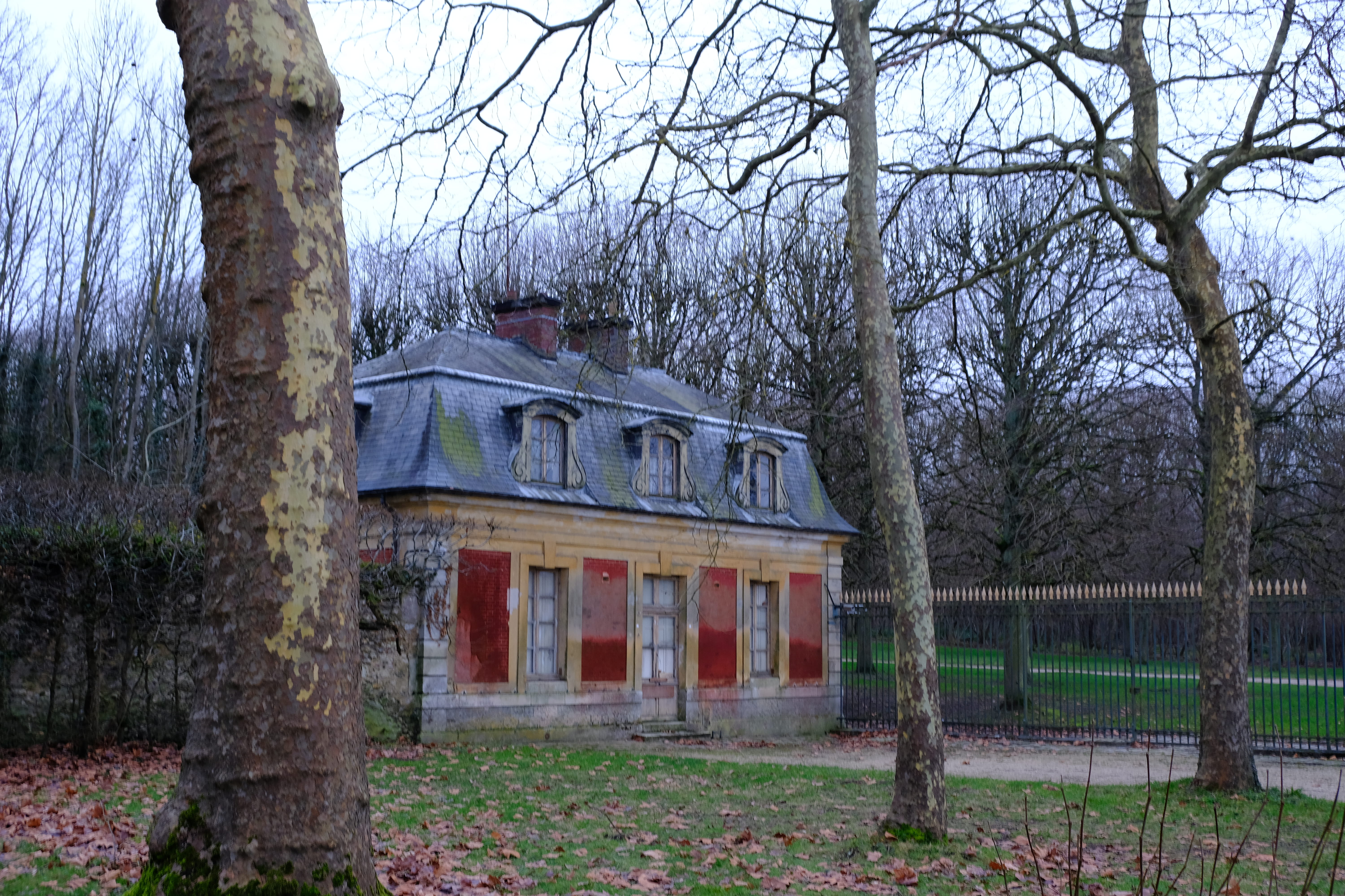 versailles, tree trunk, built structure, building, nature, 5K, grass, plant, day, sky, france, trunk, land, field, bare tree, no people, branch, house, HD Wallpaper