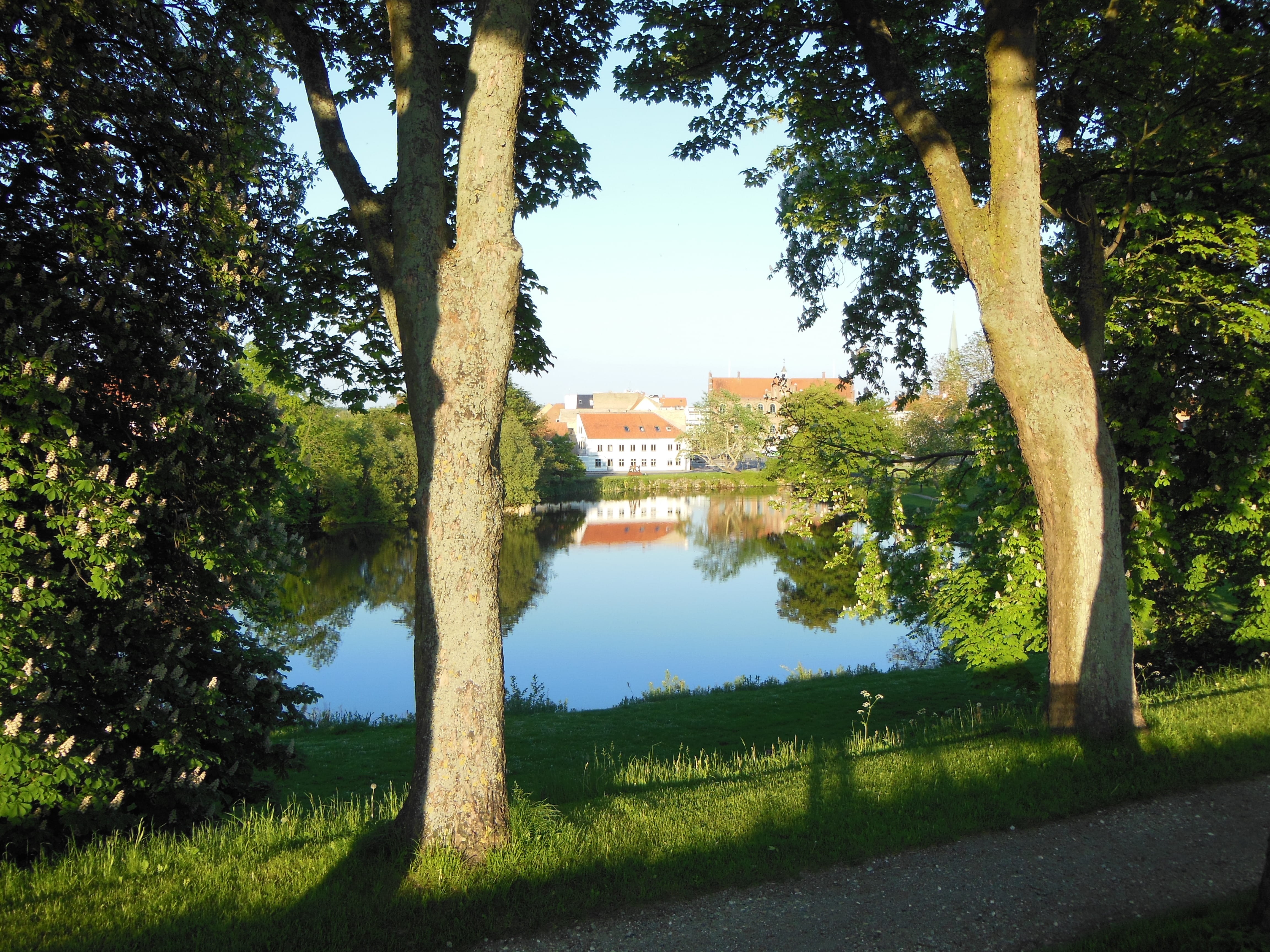 lake, plant, fuen, evening atmosphere, tranquility, town hall, reflection, grass, City, Lake, building exterior, light and shade, trunk, no people, Castle Lake, HD Wallpaper