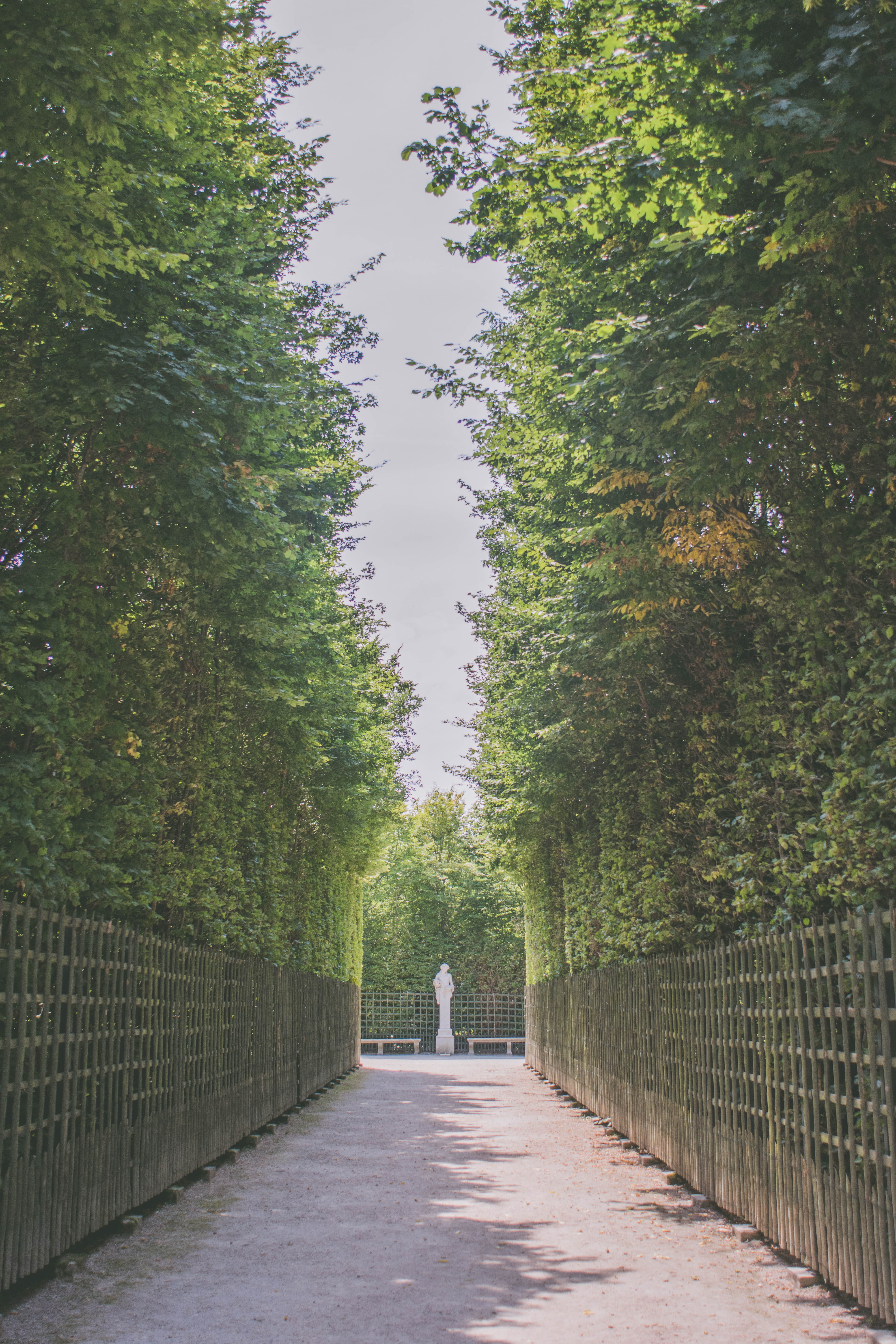 full length, france, walking, one person, outdoors, growth, footpath, day, built structure, nature, treelined, versailles, tree, transportation, plant, Phone HD Wallpaper