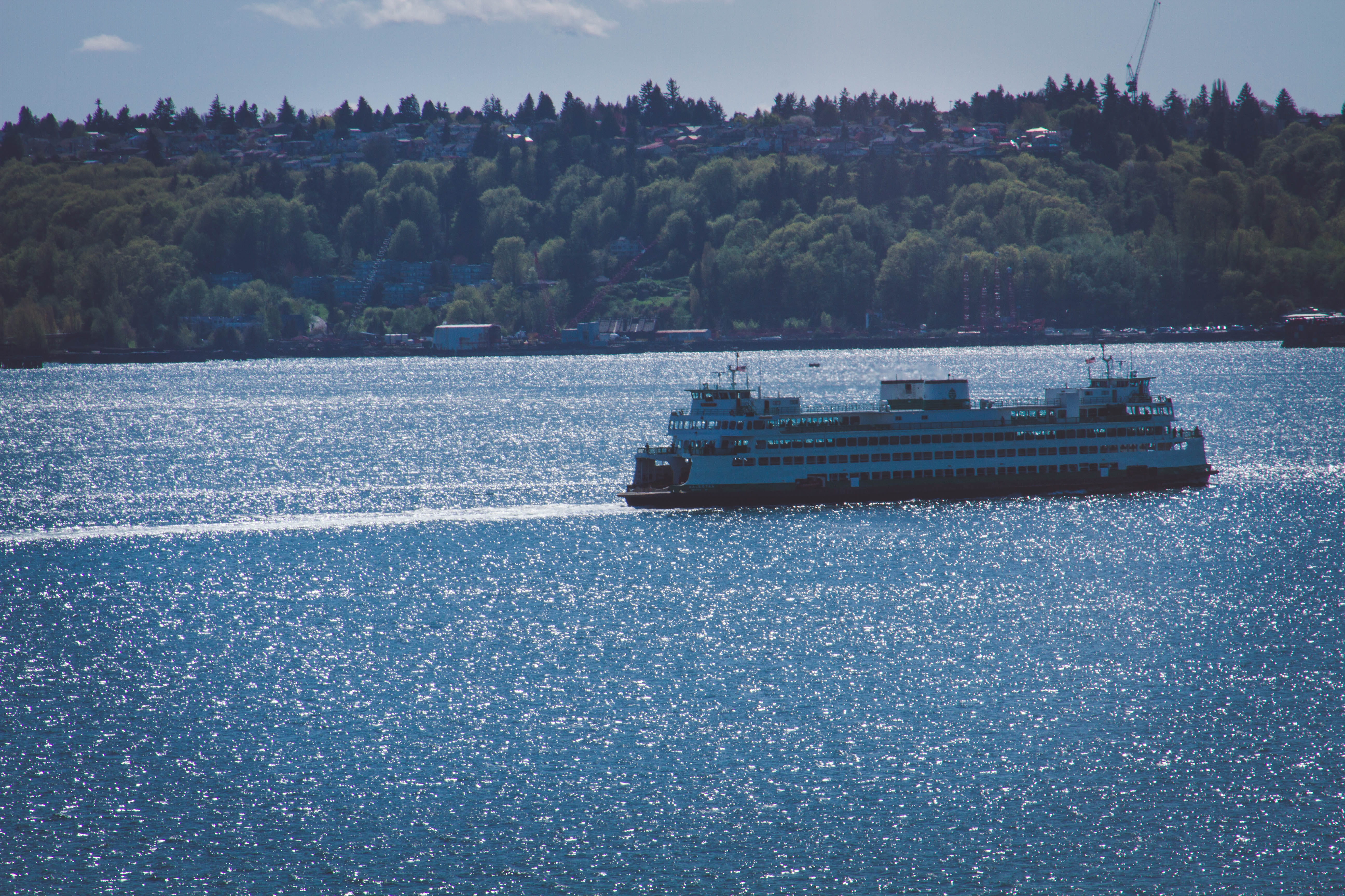 ferries, transportation, seattle great wheel, united states, seattle, nature, plant, beauty in nature, seattle waterfront, passenger craft, 5K, freight transportation, HD Wallpaper