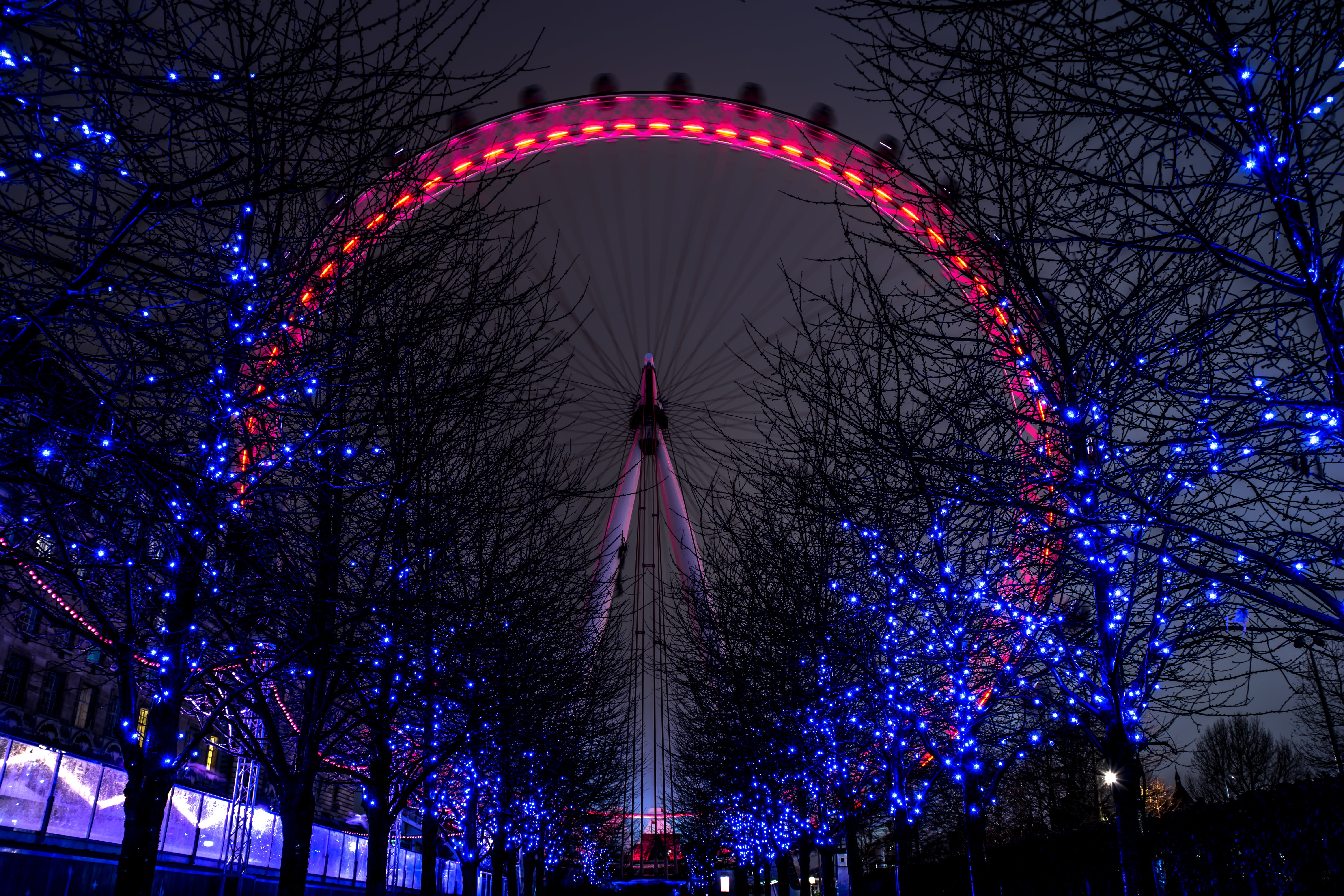 europe, bare tree, sky, person, uk, summer, holidays, view, decoration, river, united, motion, ferris wheel, thames, love, no people, dusk, wheel, great, HD Wallpaper