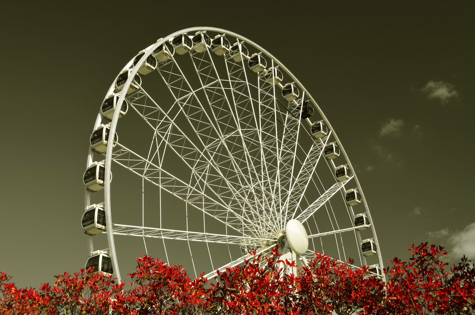 cloud - sky, no people, circle, flower, construction, England, amusement park ride, urban, united kingdom, outdoors, City, fun, color, ferris wheel, 1080P, HD Wallpaper