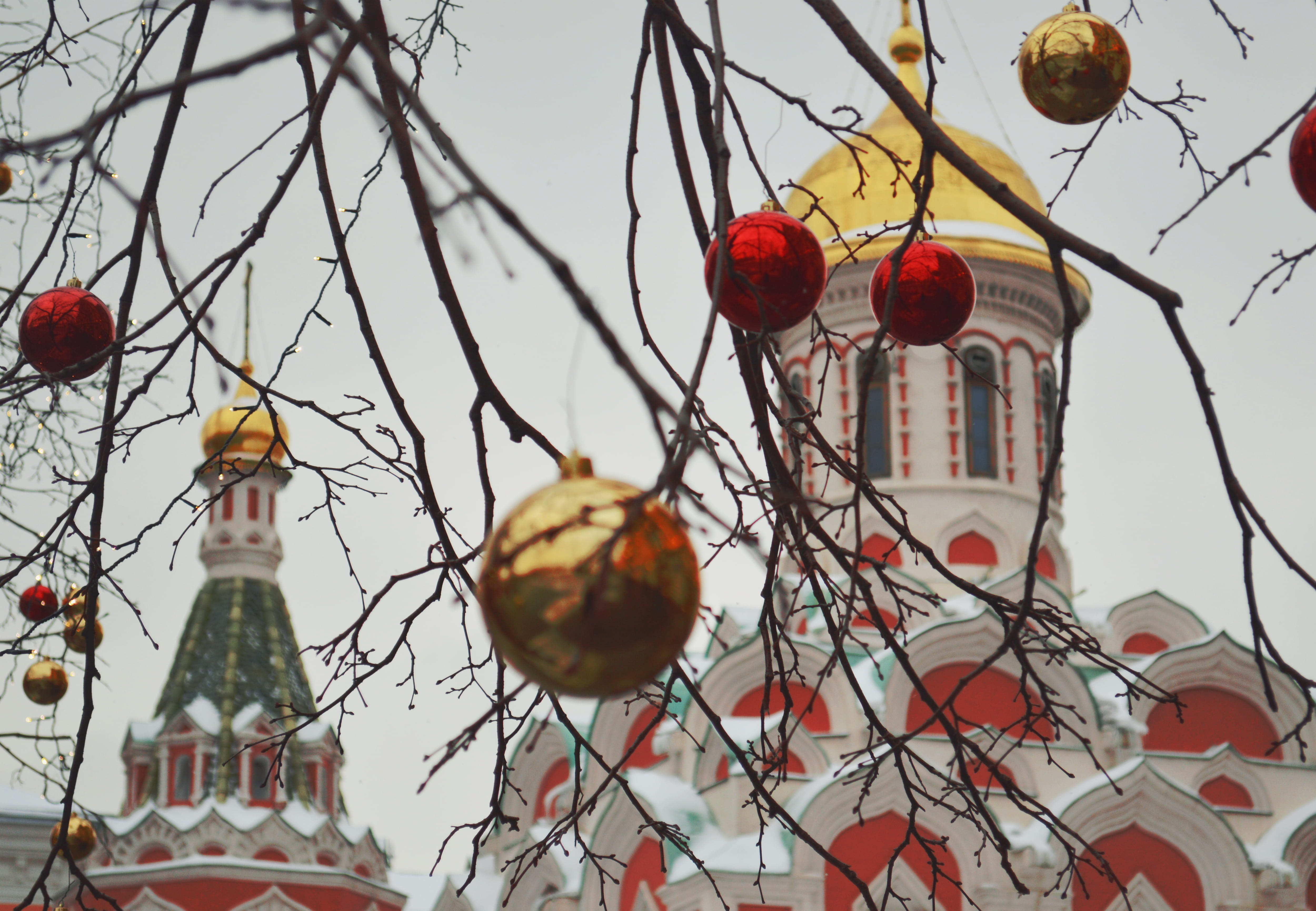 city, gold, tree, food, nature, architecture, celebration, winter, festive, outdoors, hanging, chrismas, built structure, sky, lighting equipment, holiday, HD Wallpaper