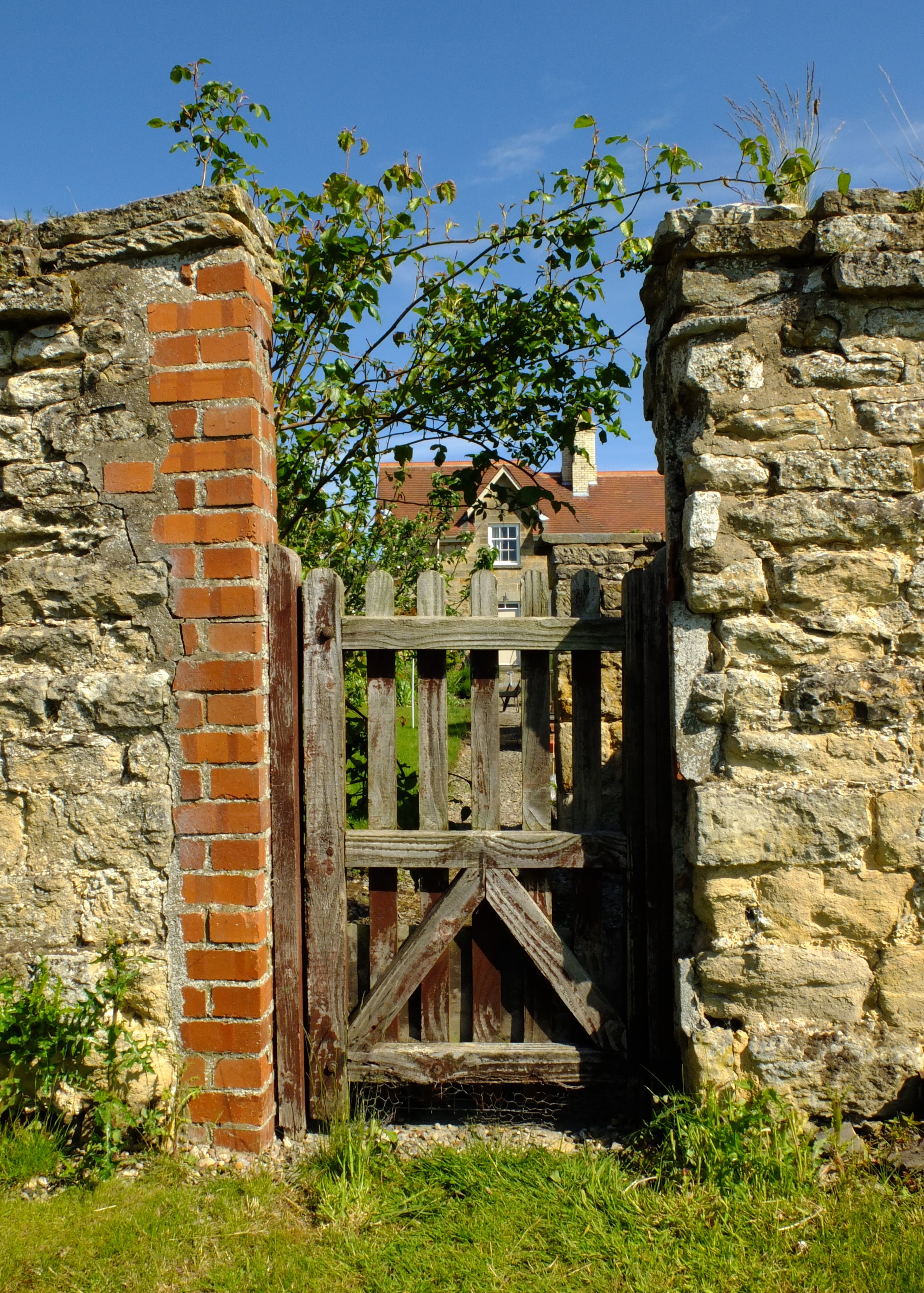castle, the past, ryedale, old, plant, building exterior, entrance, agriculture, sky, architecture, day, nature, deterioration, house, outdoors, ruined, Phone HD Wallpaper