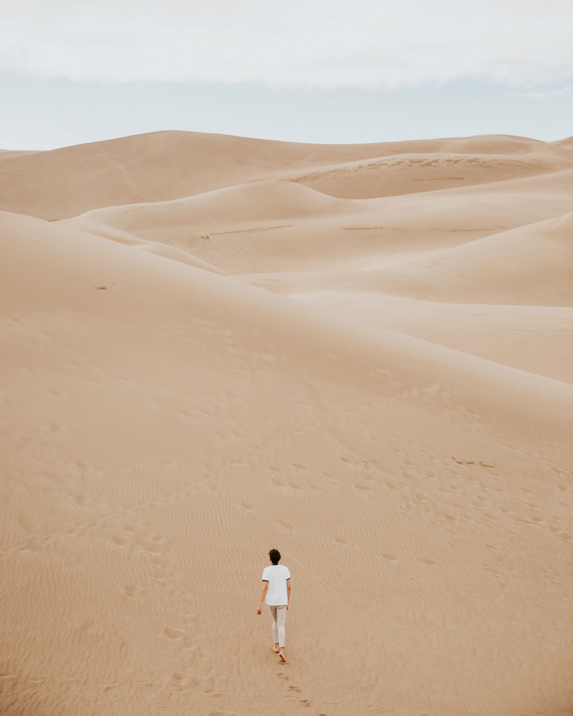 tranquil scene, walking, desolate, one Person, rear view, standing, arid climate, environment, remote, man, men, day, person, beach, 1080P, white, dry, Phone HD Wallpaper