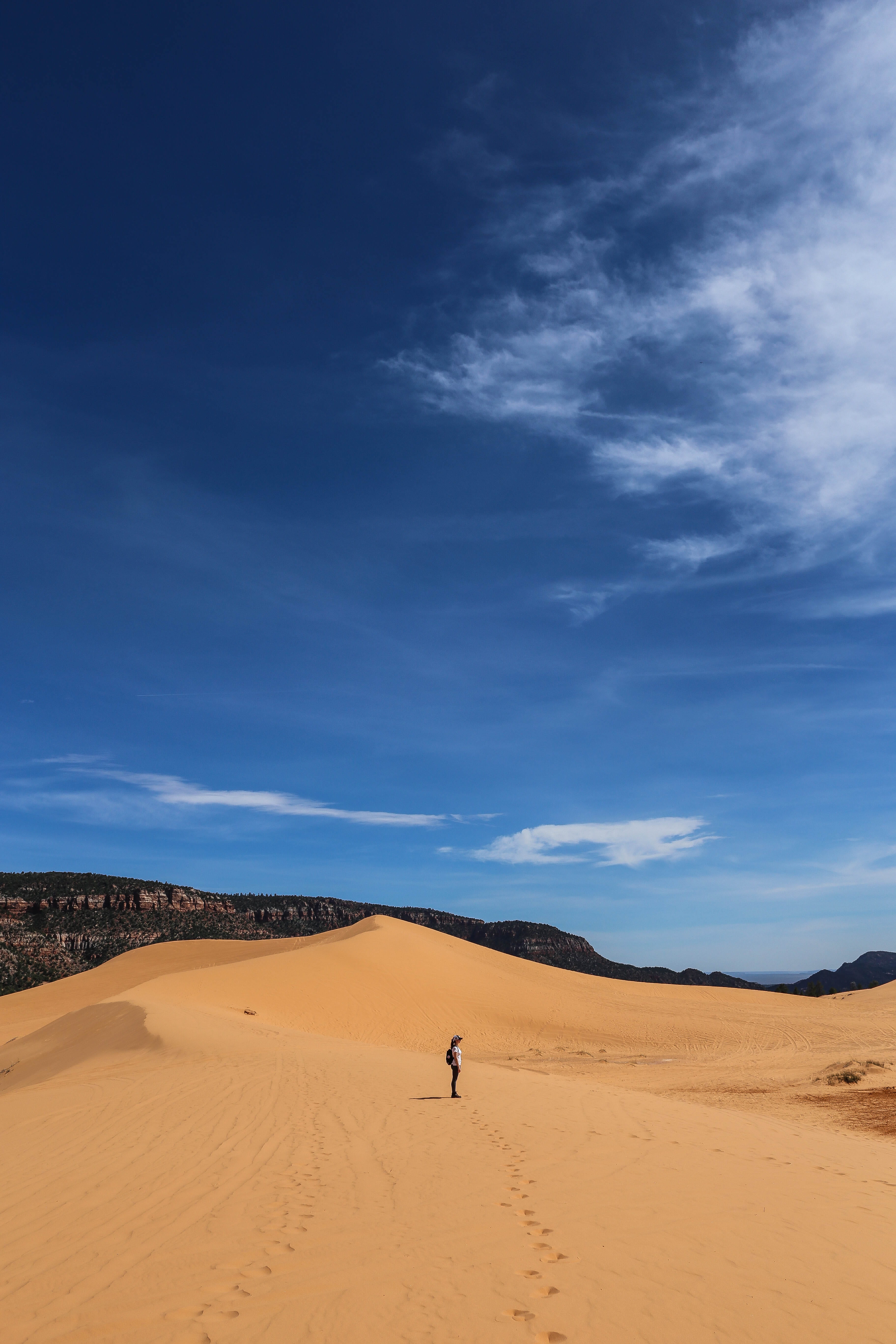 beauty in nature, arid Climate, landscape, dry, day, remote, climate, man, tranquility, cloud - sky, extreme Terrain, sand Dune, tranquil scene, sky, sand, Phone HD Wallpaper