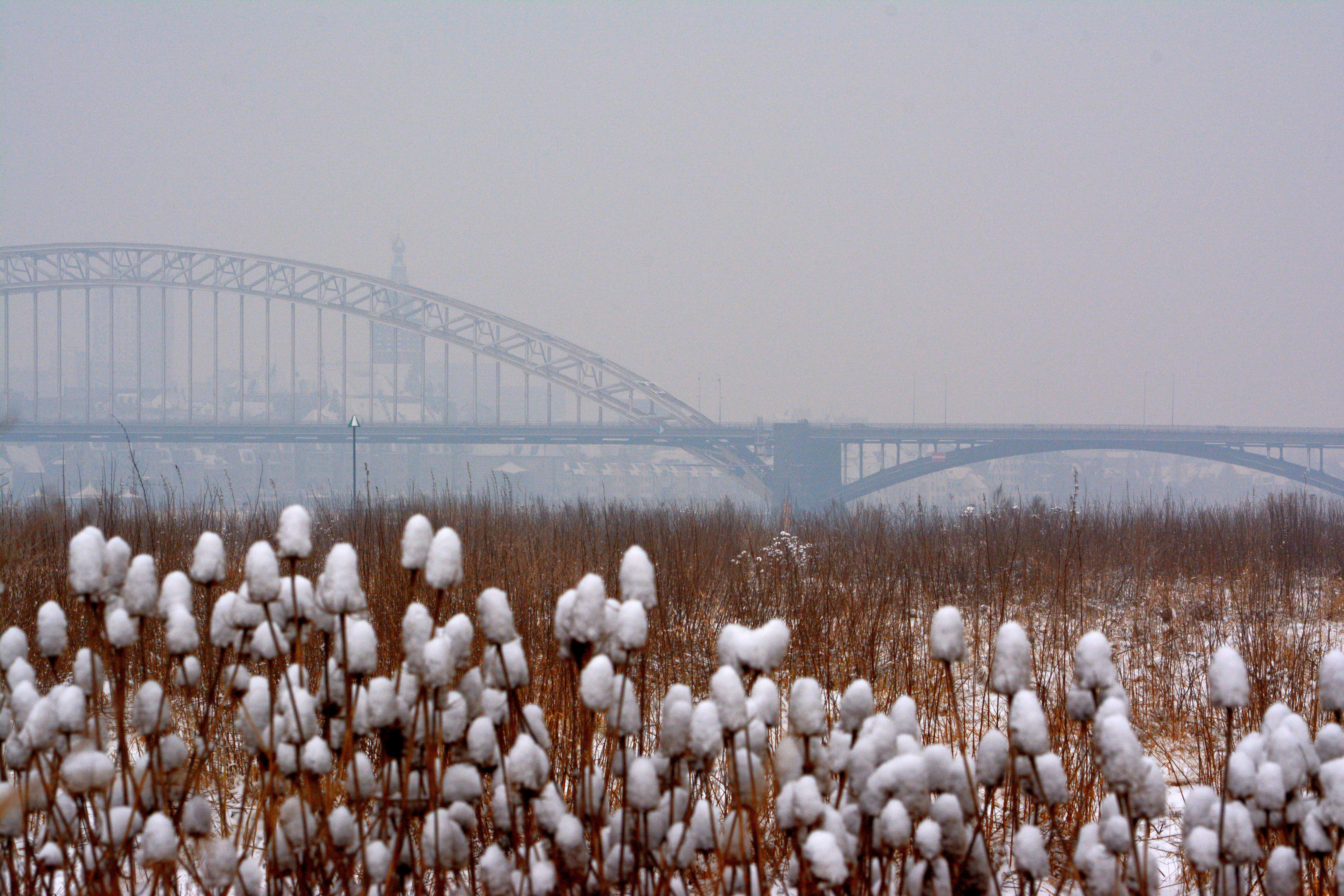 white, snow, nature, landscape, river, growth, cold temperature, beauty in nature, day, bridge, waalbrug, flowers, built structure, scenics - nature, sky, HD Wallpaper