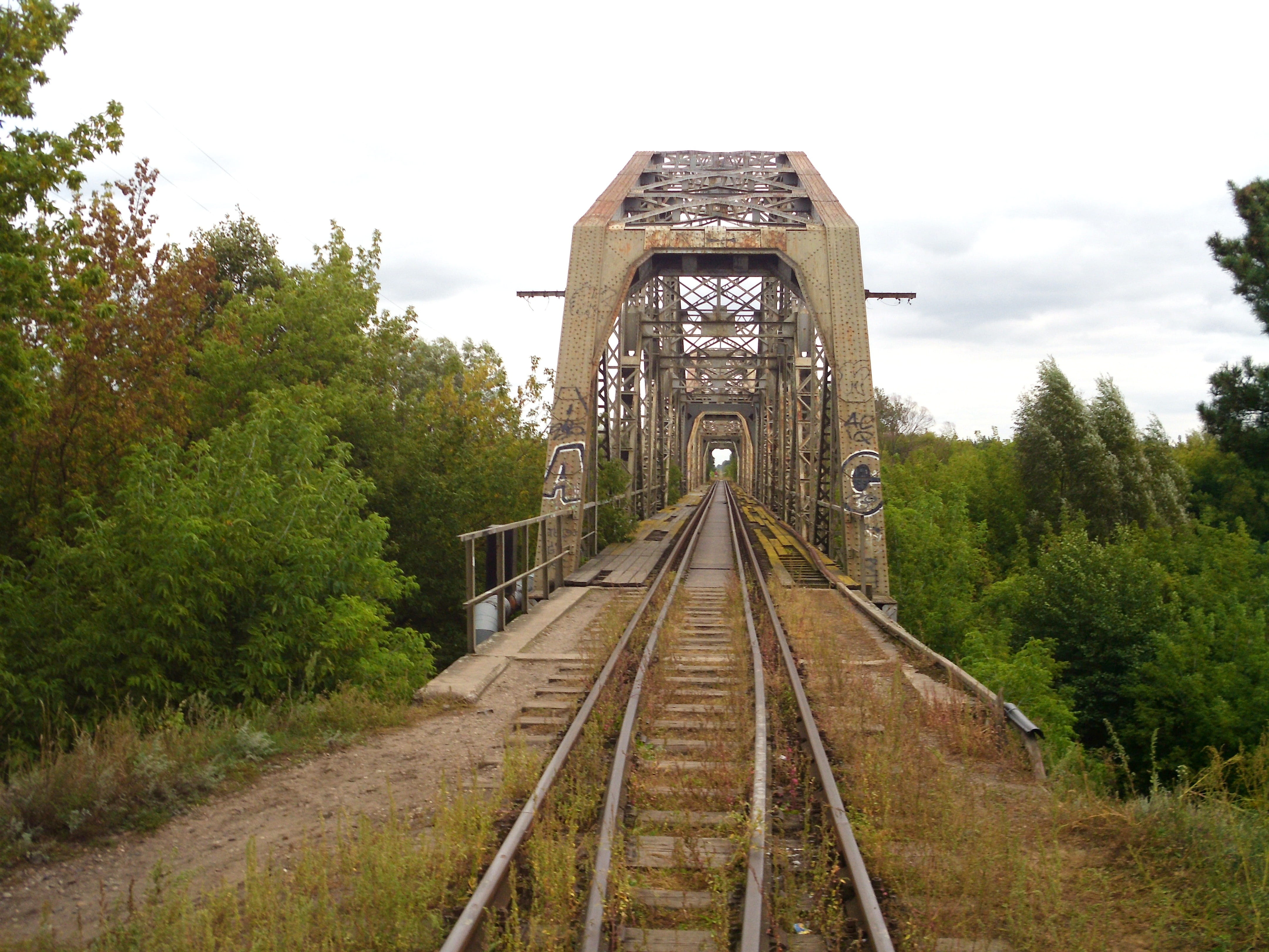 bridge, growth, track, connection, plant, Railroad, country, forest, trees, summer, outdoors, railroad Track, clouds, train, building exterior, mode of transportation, HD Wallpaper