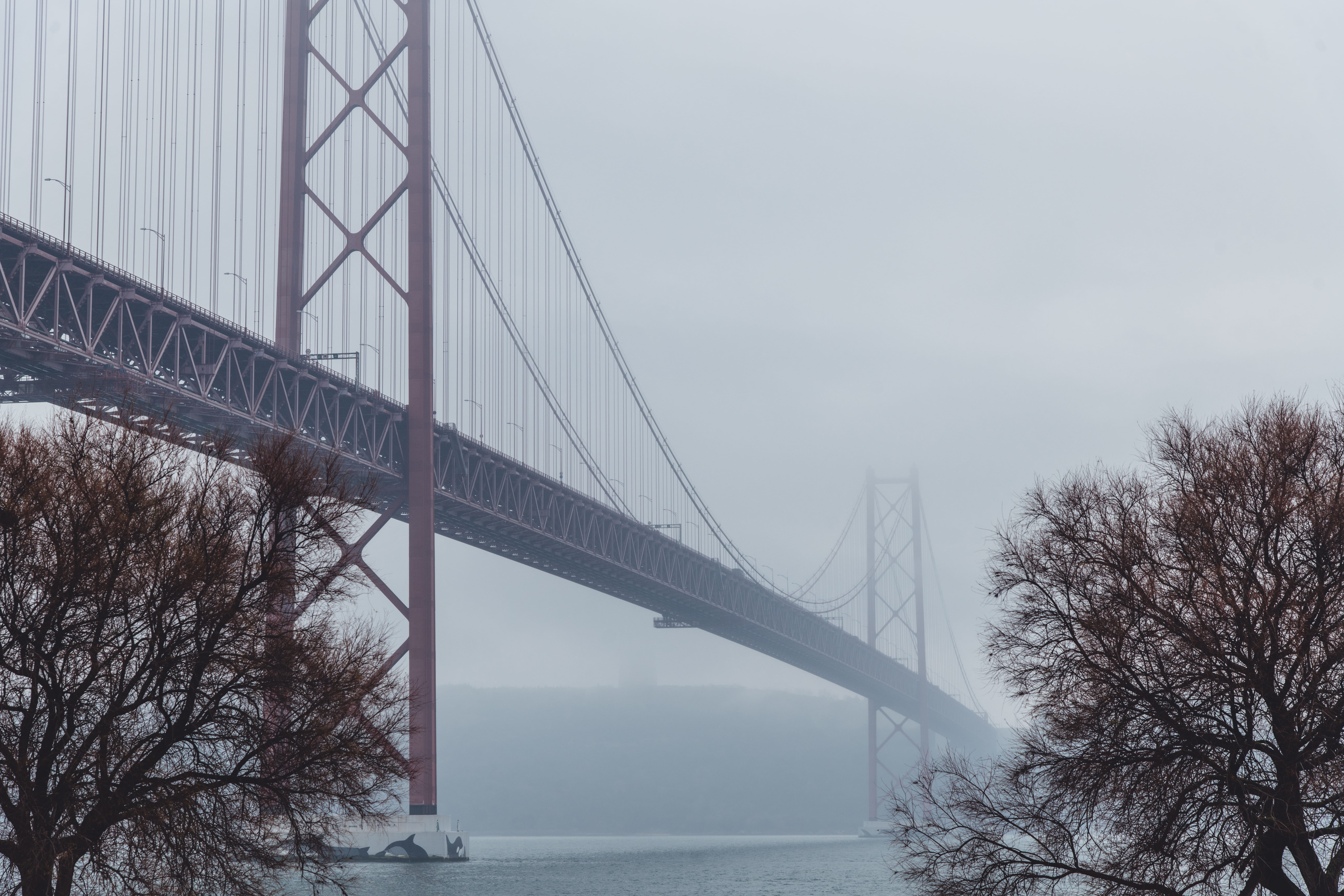 outdoors, water, bay, travel, engineering, transportation, tree, bridge, connection, built structure, cars, 25 de abril bridge, tourism, architecture, 8K, HD Wallpaper