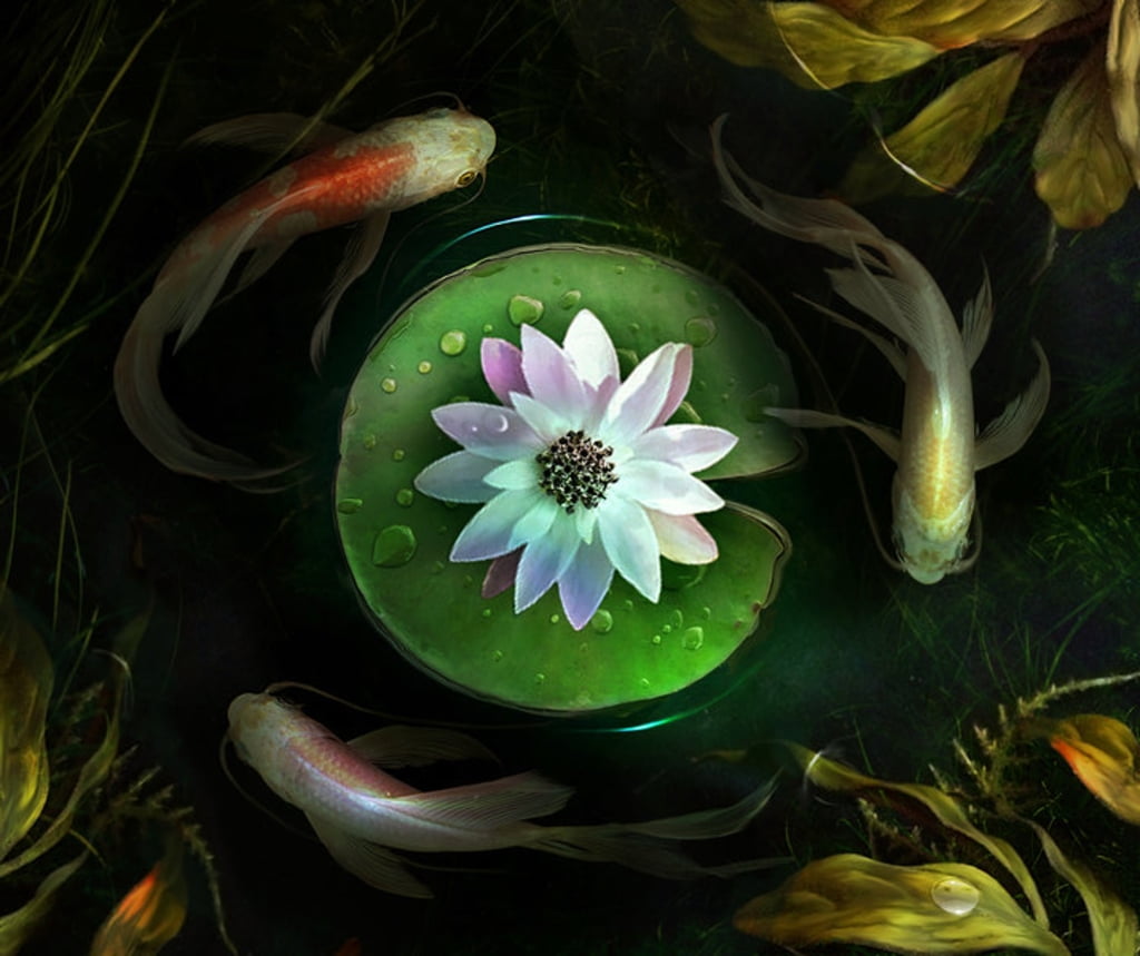 vulnerability, freshness, green, water lily, green color, vara, Circles, flowering plant, nature, fantasy, 480P, summer, pollen, lotus, water, plant part, HD Wallpaper
