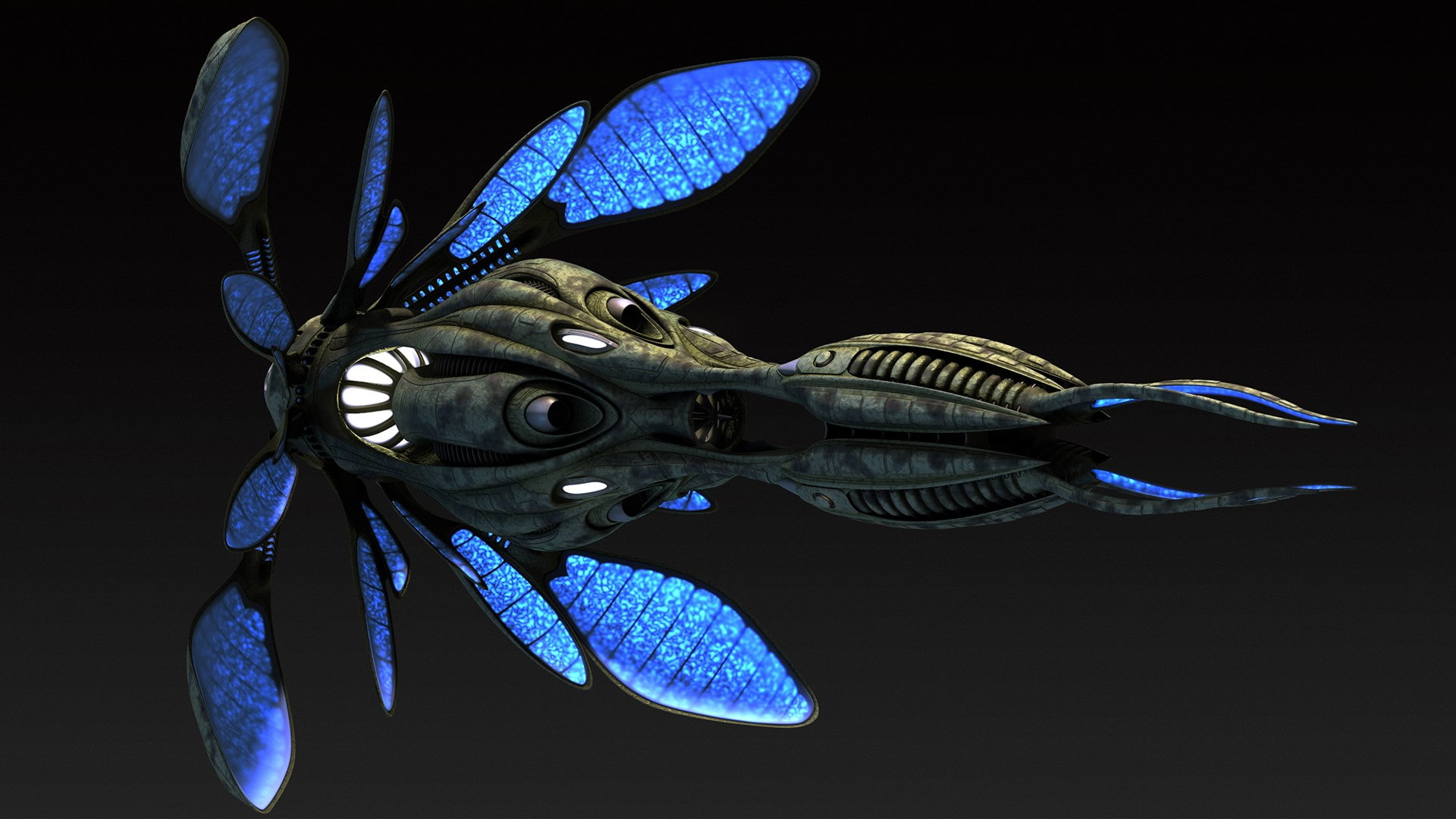 animal wildlife, night, demon - fictional character, animal wing, animal, animal representation, no people, animal head, single object, one animal, babylon 5 a call to arms, HD Wallpaper