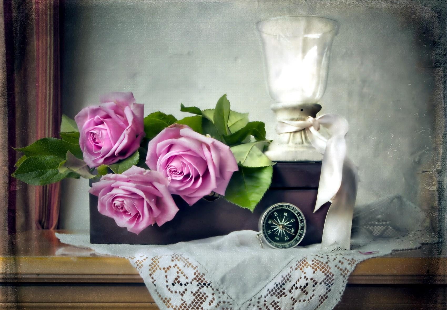 flowers, roses, three, flower head, rose, wedding, pink Color, pink, romance, box, nature, day, rose - Flower, flowering plant, decoration, petal, plant, HD Wallpaper