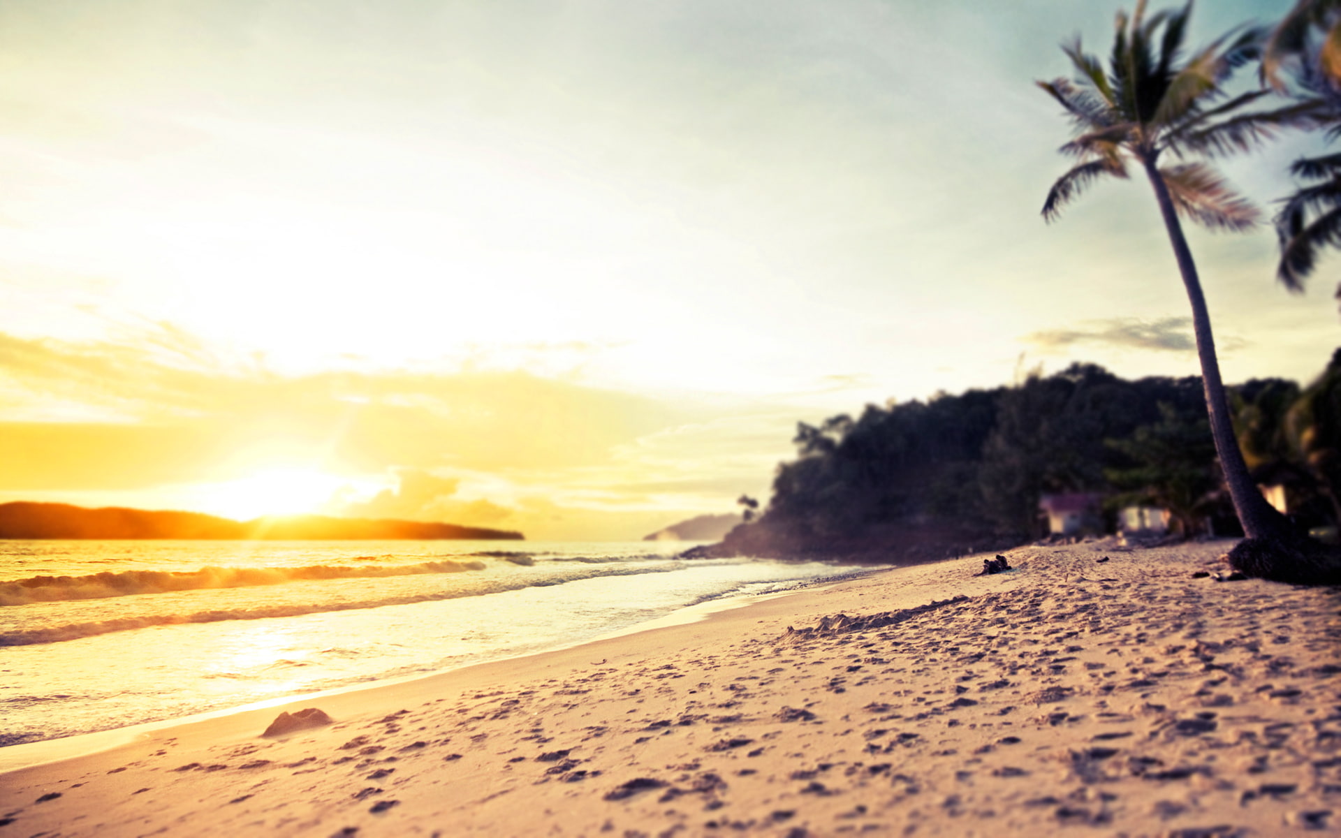 palm beach, the s, trees, the ocean, pair, coast, palm tree, water, sand, the sky, the evening, tree, screensavers for your desktop, for desktop, sea, the best s for your desktop, HD Wallpaper