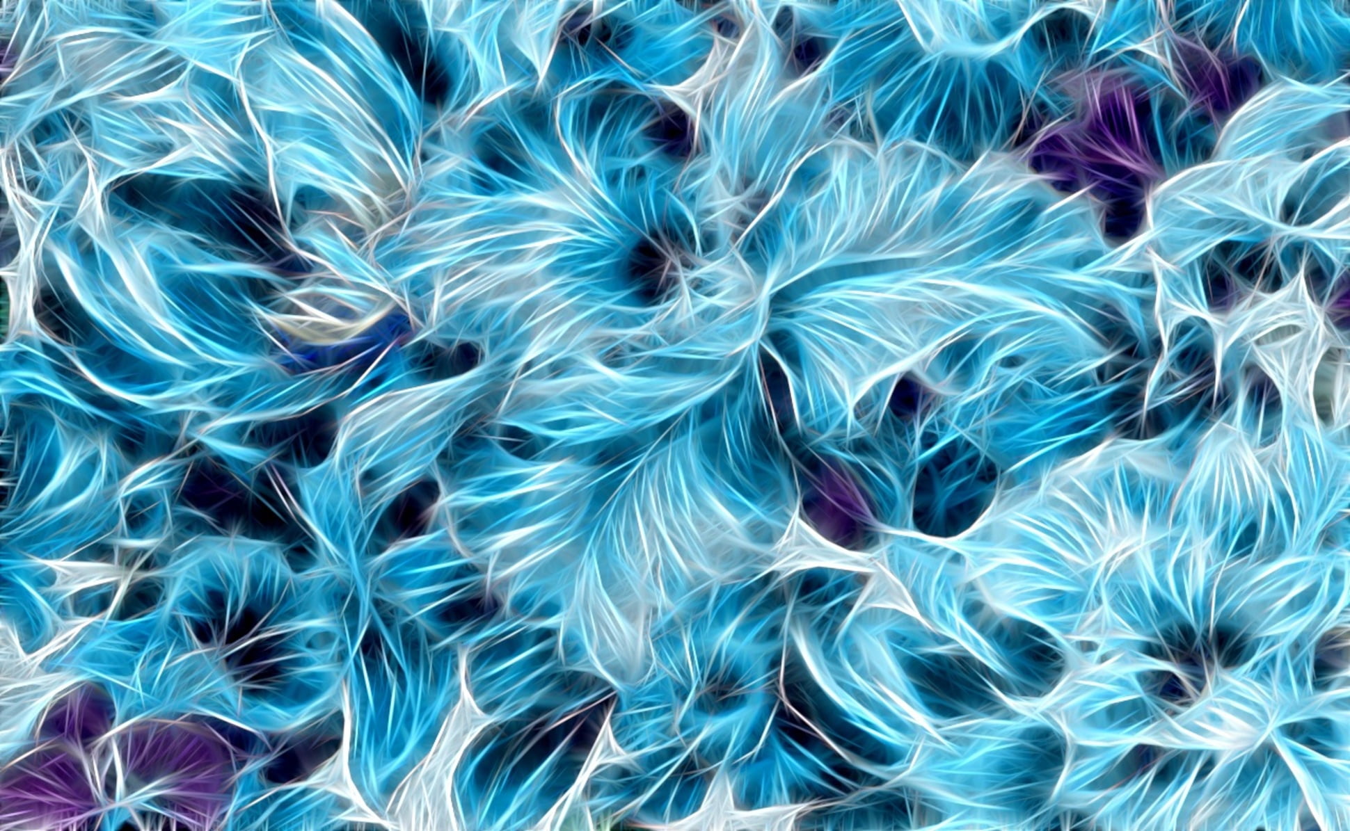 фрактальный фон, screensaver on your desktop, frosty pattern, flowers, 1080P, winter, abstraction, floral fantasy, HD Wallpaper