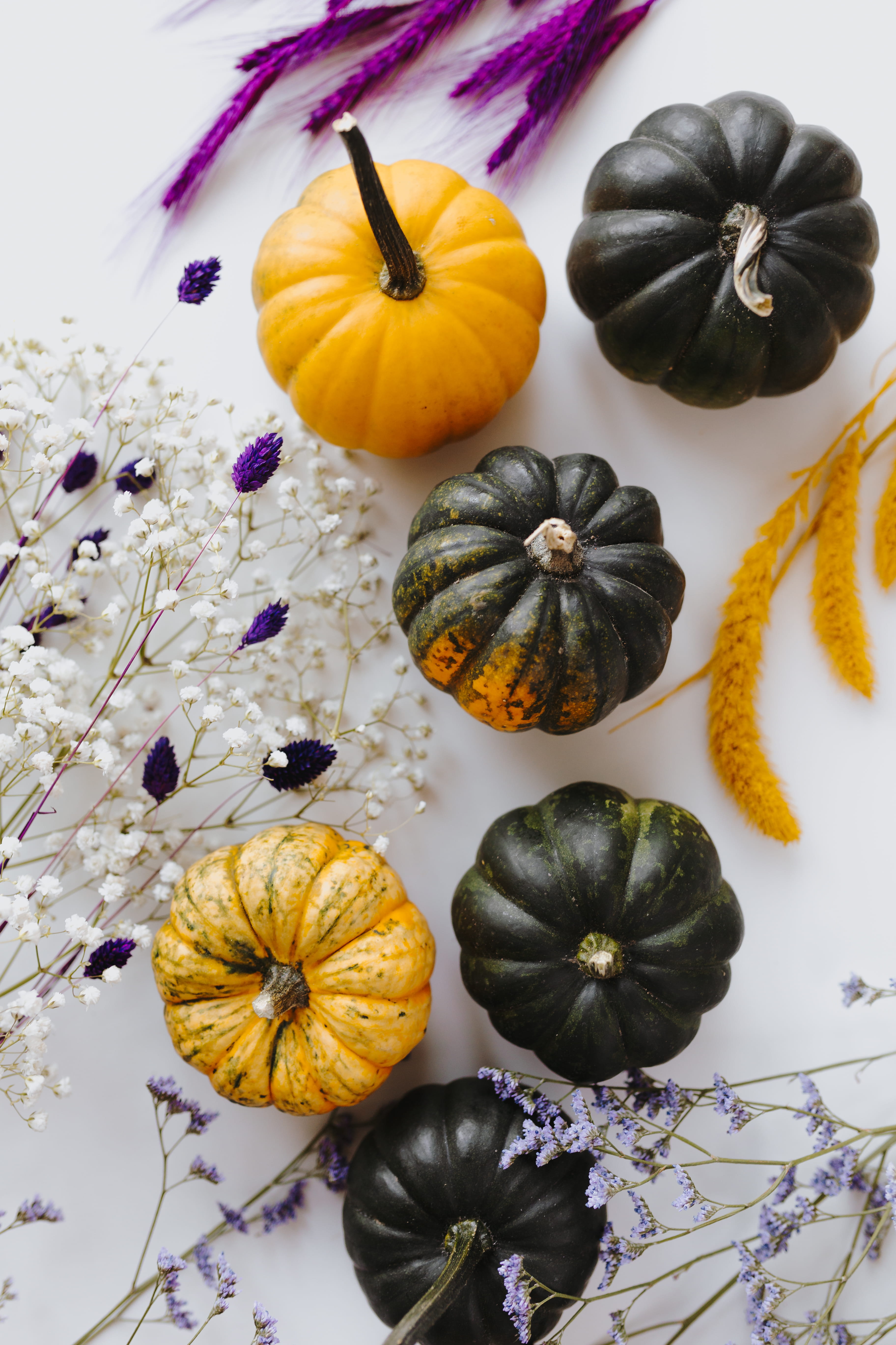 vegetable, still life, food and drink, purple, green, pumpkins, autumn, close-up, wellbeing, october, vegetarian food, table, indoors, white, fall, orange color, Phone HD Wallpaper