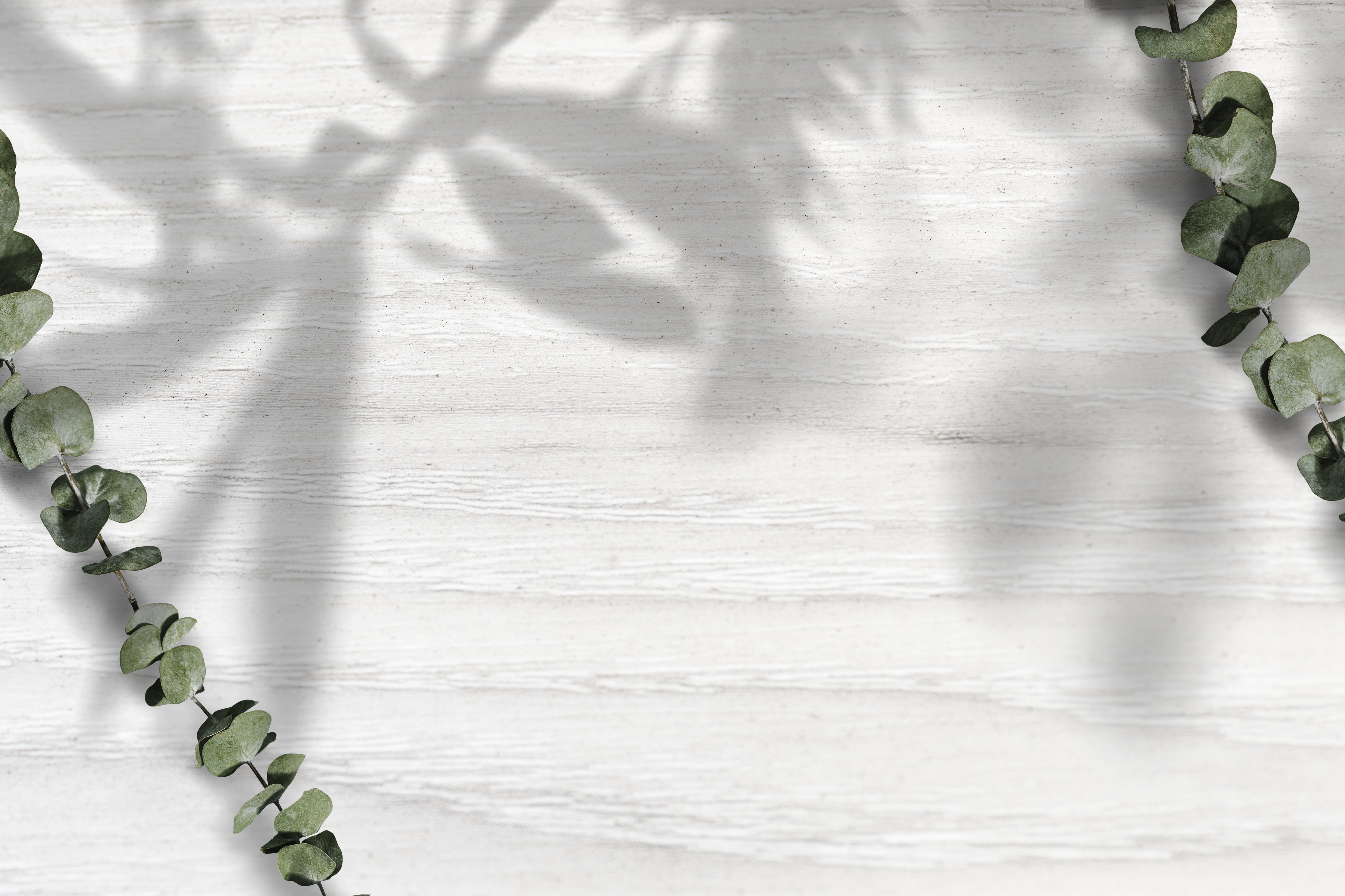 product backdrop, plant part, branch, paled, leaf, eucalyptus, decoration, high angle view, shadow, design space, copy space, backdrop, decor, plank, wood - material, HD Wallpaper