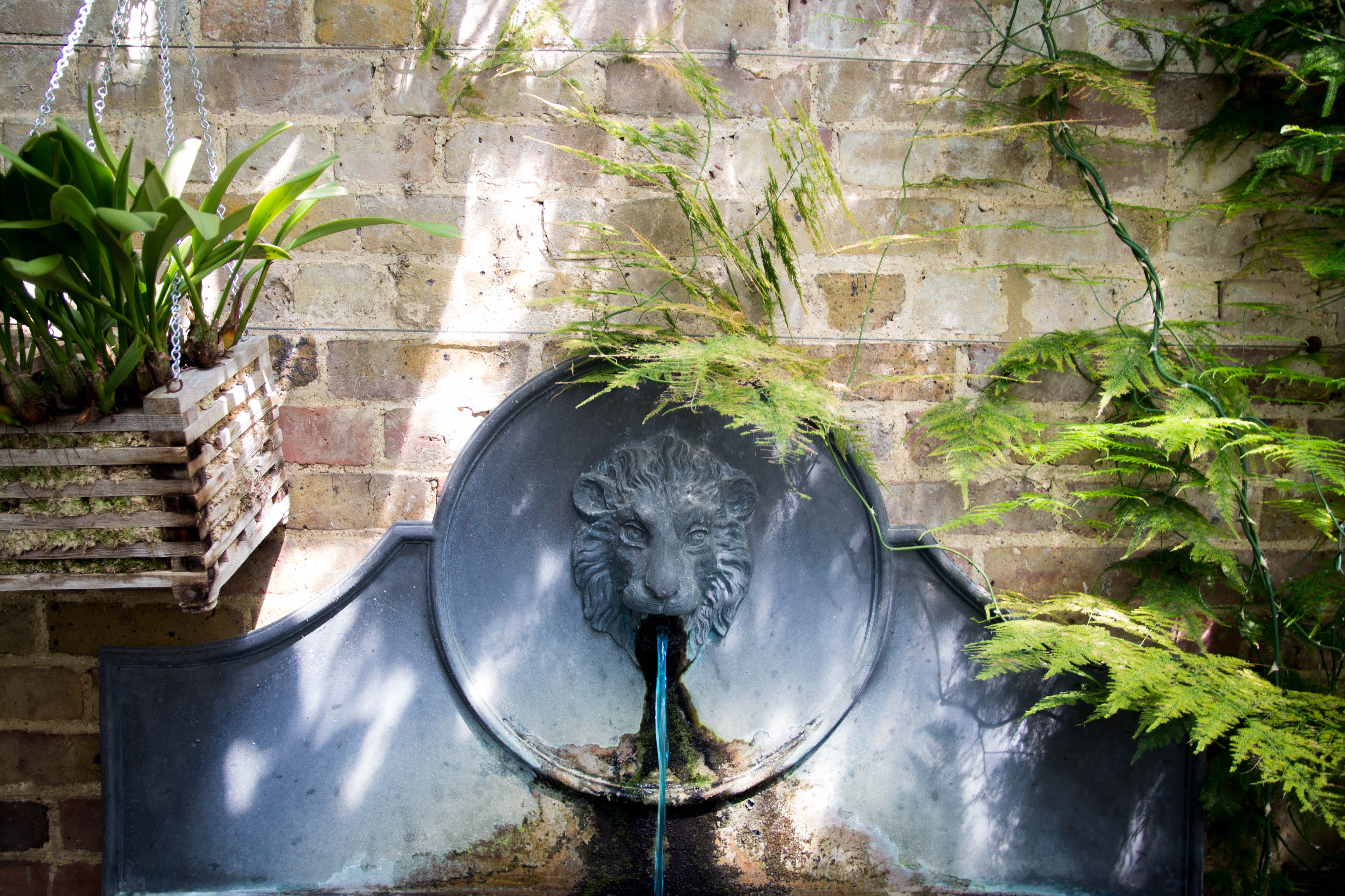 5K, no people, nature, fountain, representation, wall, flowing, outdoors, water, leaf, flowing water, garden, enfield, built structure, architecture, fern, HD Wallpaper