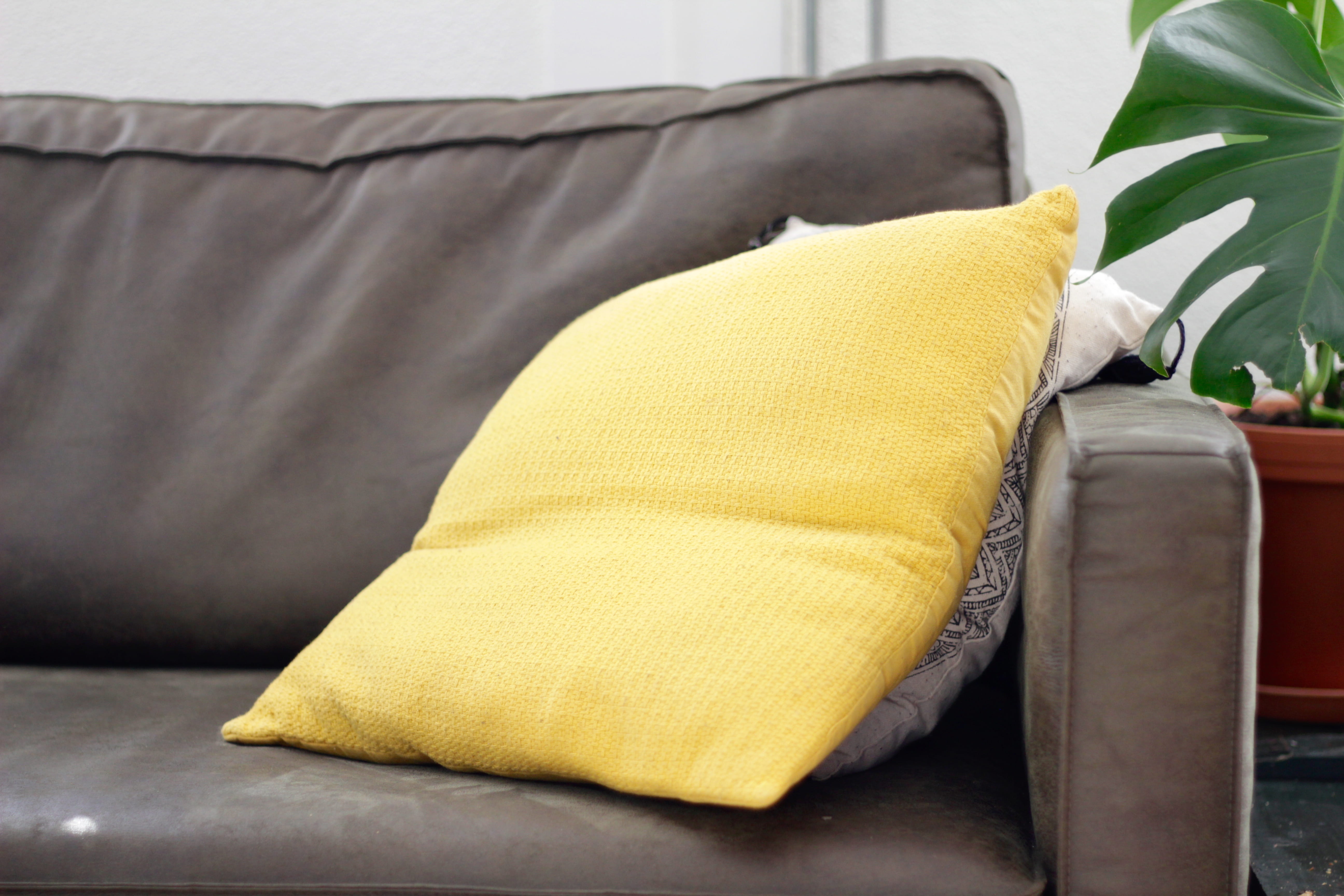 plant, sofa, cushion, linen, pc, textile, sleeping, throw, close up, 5K, group of objects, home decor, still life, seat, design, folded, clean, close-up, HD Wallpaper