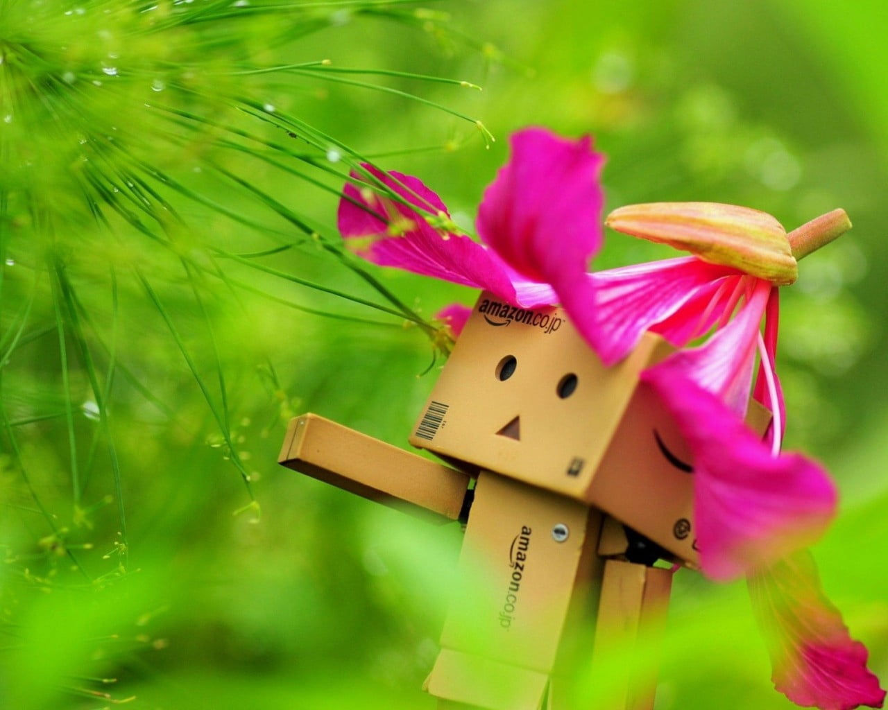 flower head, close-up, petal, hat, nature, pink Color, fragility, amazon, no People, plant, day, focus on foreground, red, danbo, flowering plant, grass, HD Wallpaper