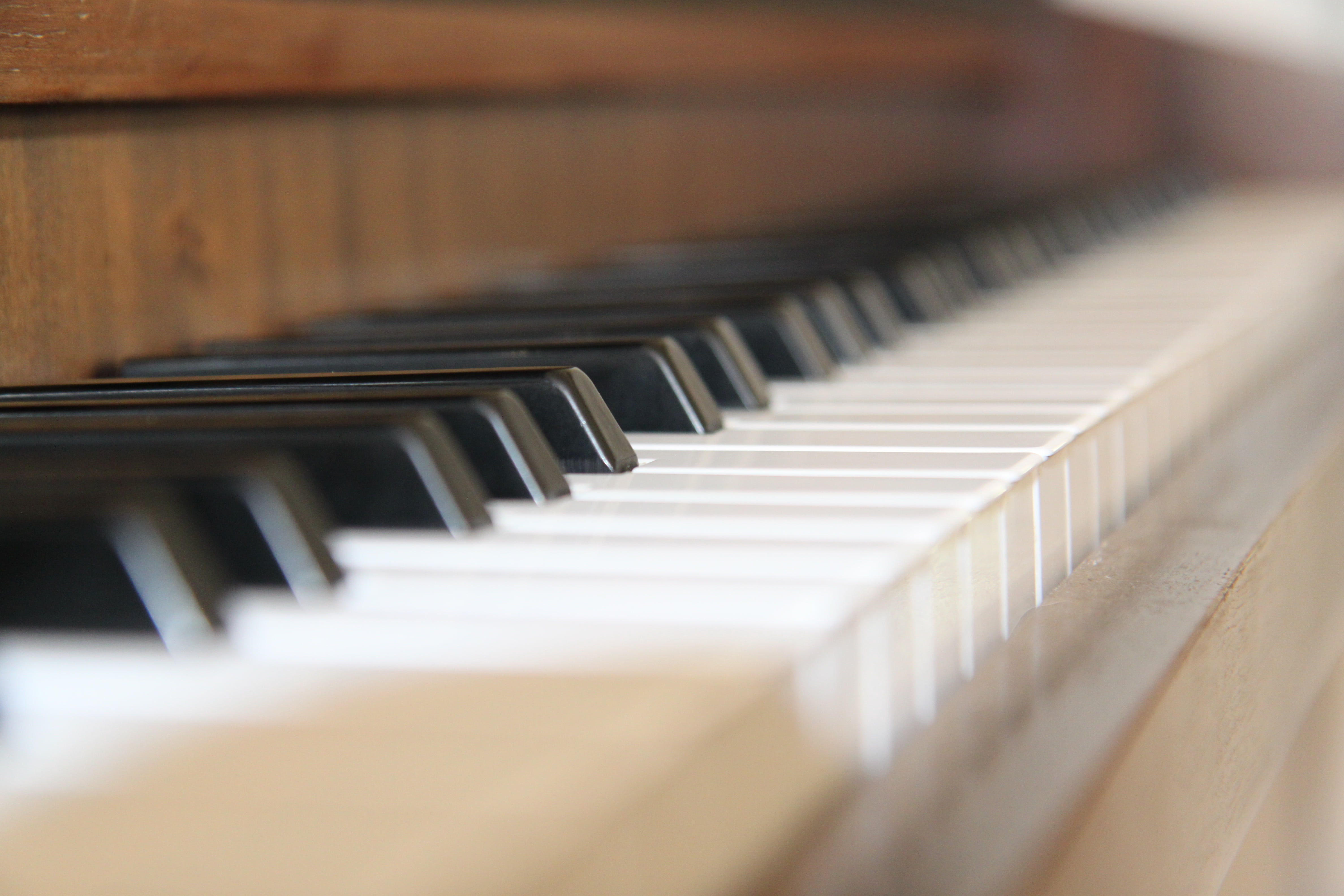 close, key, performance, black color, instrument, arts culture and entertainment, notenblatt, songs, close-up, musical Instrument, depth, concert, wing, HD Wallpaper