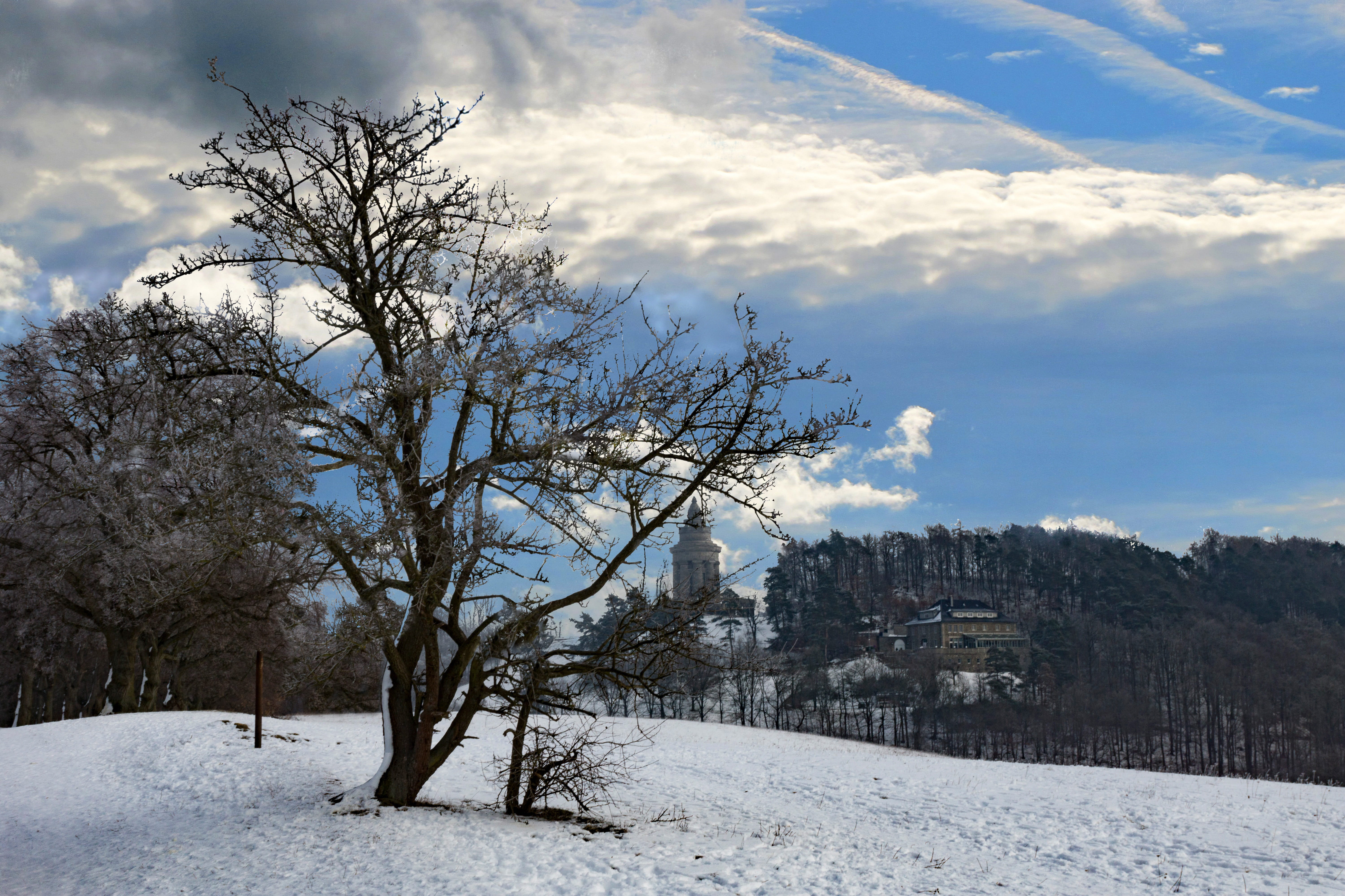 no people, burschenschaft memorial, tree, environment, eisenach, landscape, places of interest, field, snow, built structure, 5K, outdoors, land, wartburg castle, HD Wallpaper