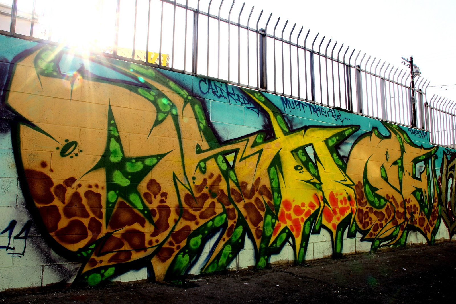 los, illegal, street, pacific, art, cities, colors, california, graff, angeles, 720P, city, graffiti, wall, buildings, HD Wallpaper