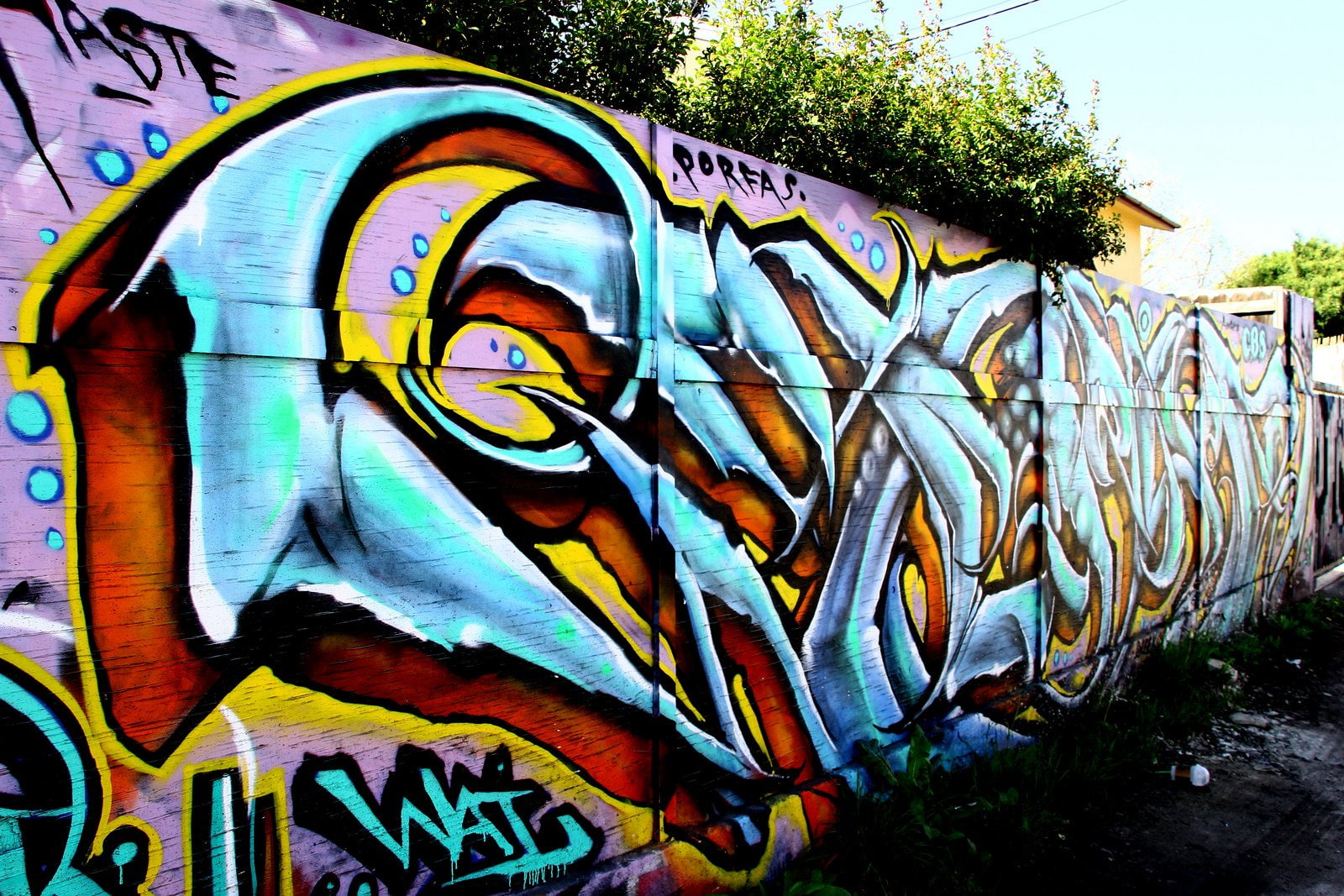 illegal, art, graff, california, street, pacific, los, buildings, angeles, 720P, cities, city, graffiti, colors, wall, HD Wallpaper