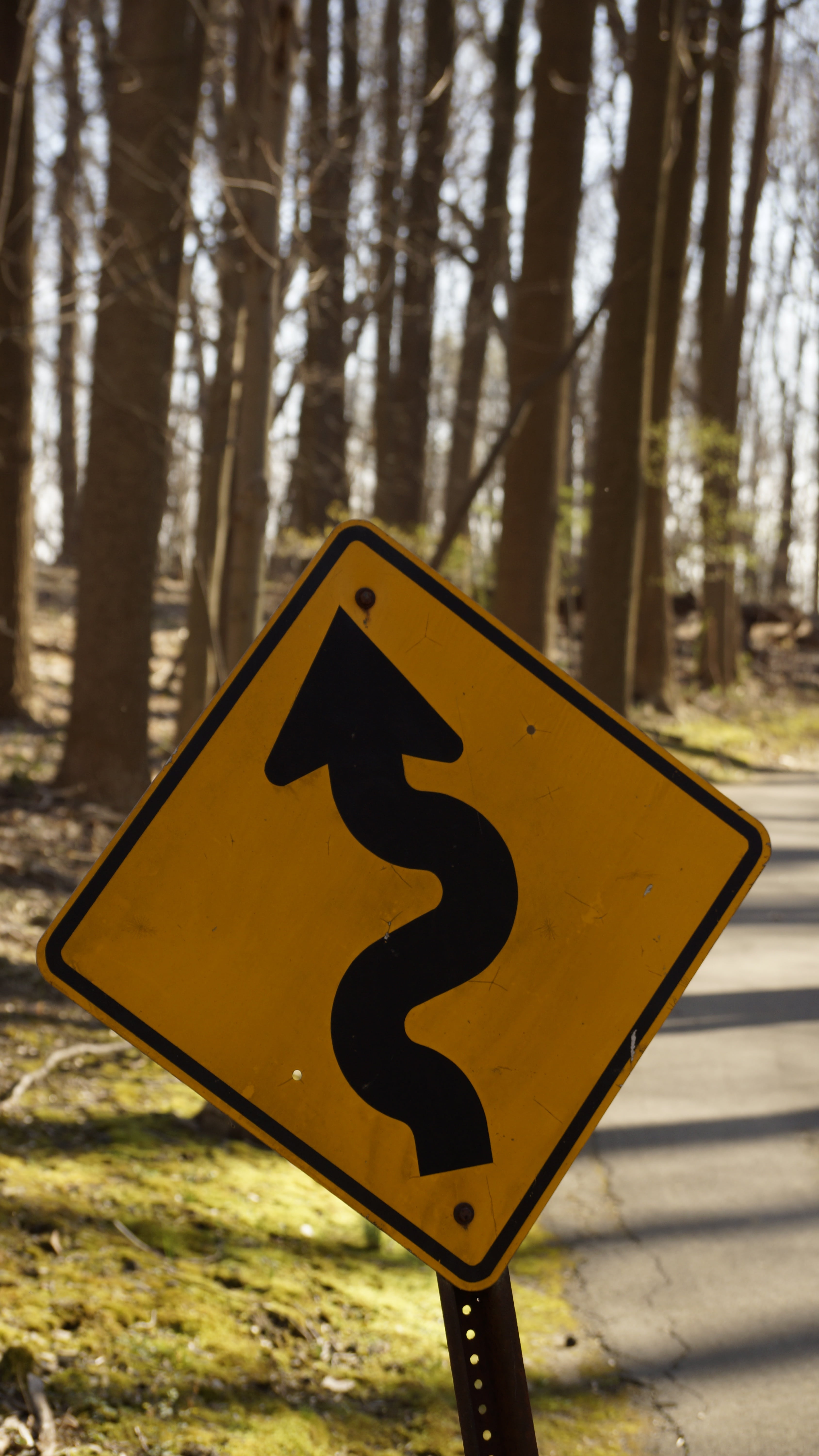 bike path, traffic sign, warning sign, curvy, no people, 5K, warning, careful, road sign, representation, dangerous, guidance, day, communication, danger, Phone HD Wallpaper