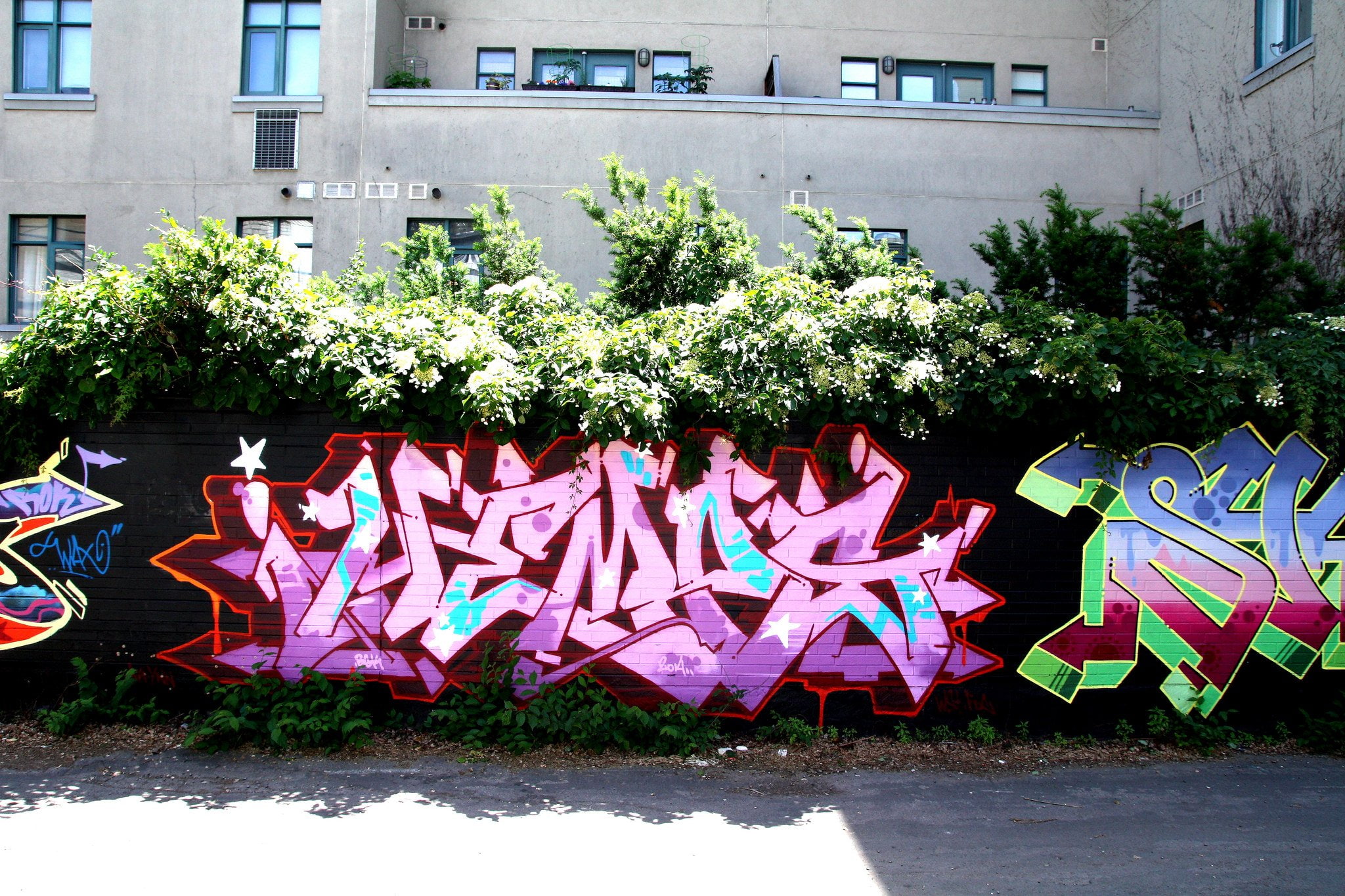 toronto, graffiti, 1080P, illegal, graff, buildings, art, wall, street, canada, cities, city, colors, HD Wallpaper