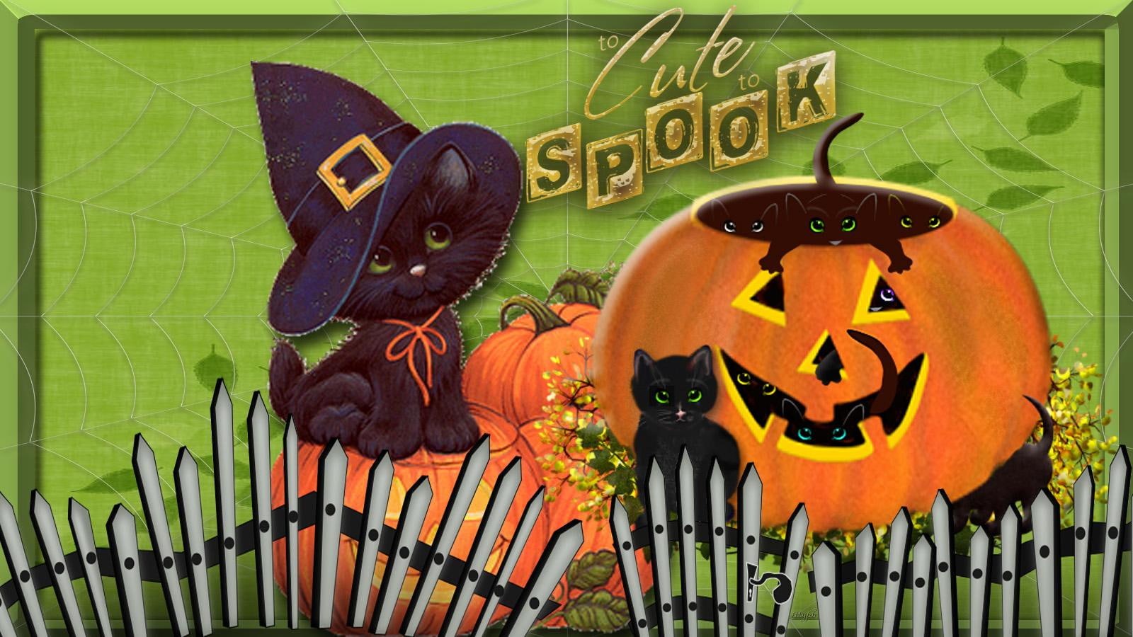 black-cats, 720P, happy-halloween, jack-o-lanterns, pumpkins, cute, spook, orange, halloween, HD Wallpaper