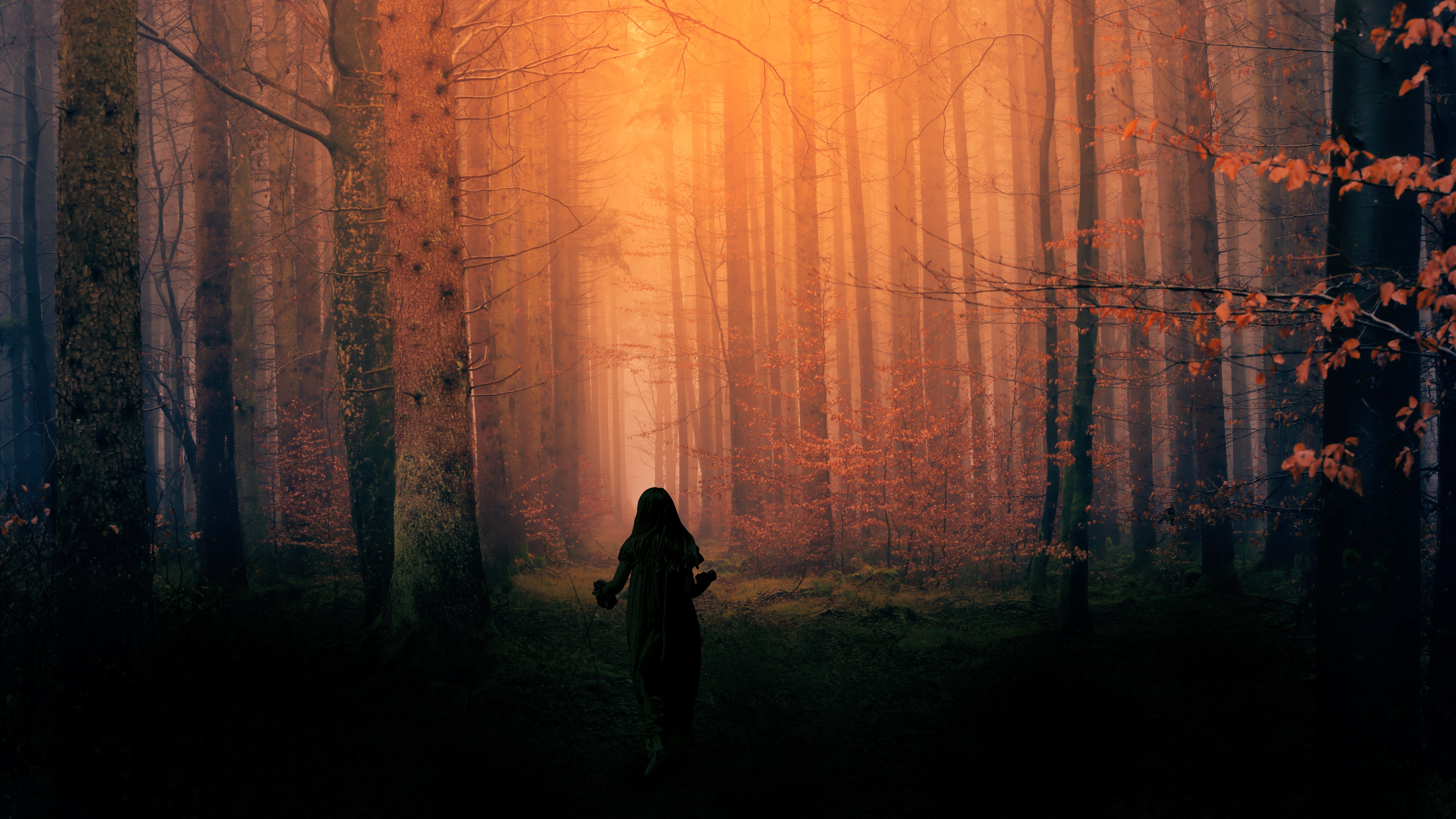 tree trunk, land, beauty in nature, leisure activity, kid, spook, nightmare, girl, plant, woodland, standing, growth, forest, real people, nature, walking, HD Wallpaper