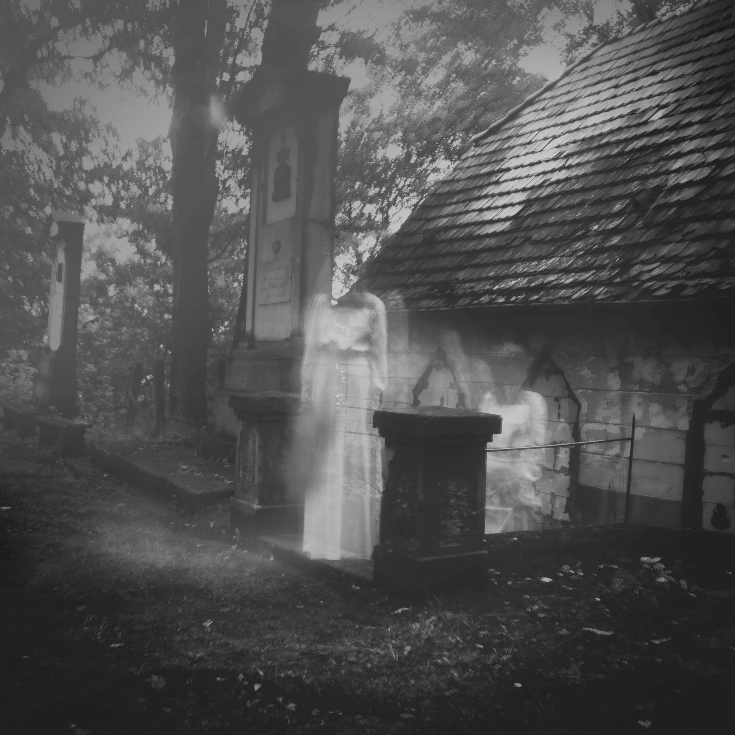 outdoors, haunted, hallucinations, nature, window, spook, run-down, built structure, white lady, tree, day, spirit, 1080P, obsolete, religion, no people, Phone HD Wallpaper