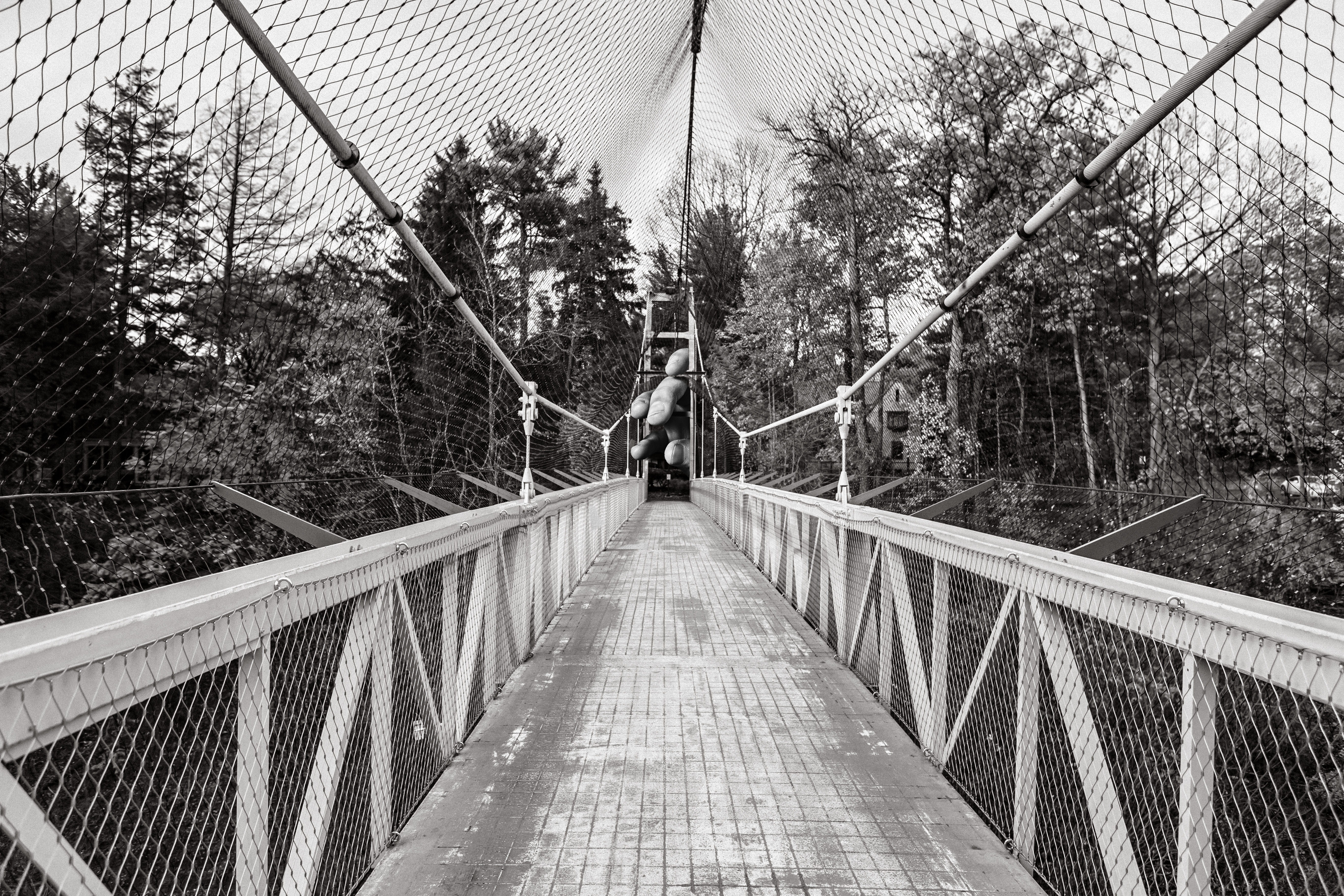 wood, real people, wooden, suspension bridge, fingers, the way forward, voodoo, tree, rope, bridge, plant, trees, fence, architecture, men, old, cage, direction, HD Wallpaper