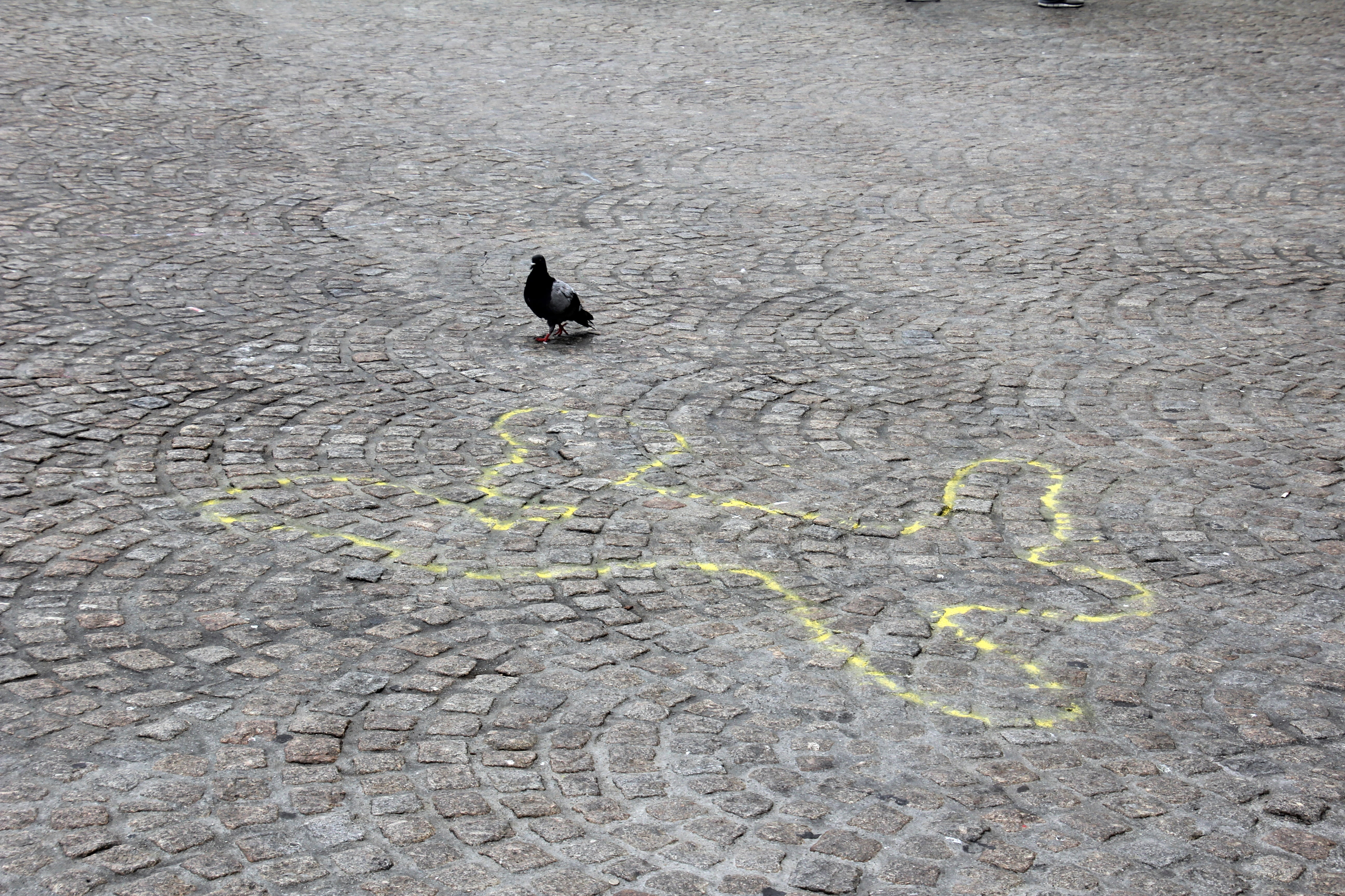 outdoors, road, day, chalk drawing, animal wildlife, drawing - art product, outline, street, no people, vertebrate, bird, offence, transportation, high angle view, HD Wallpaper